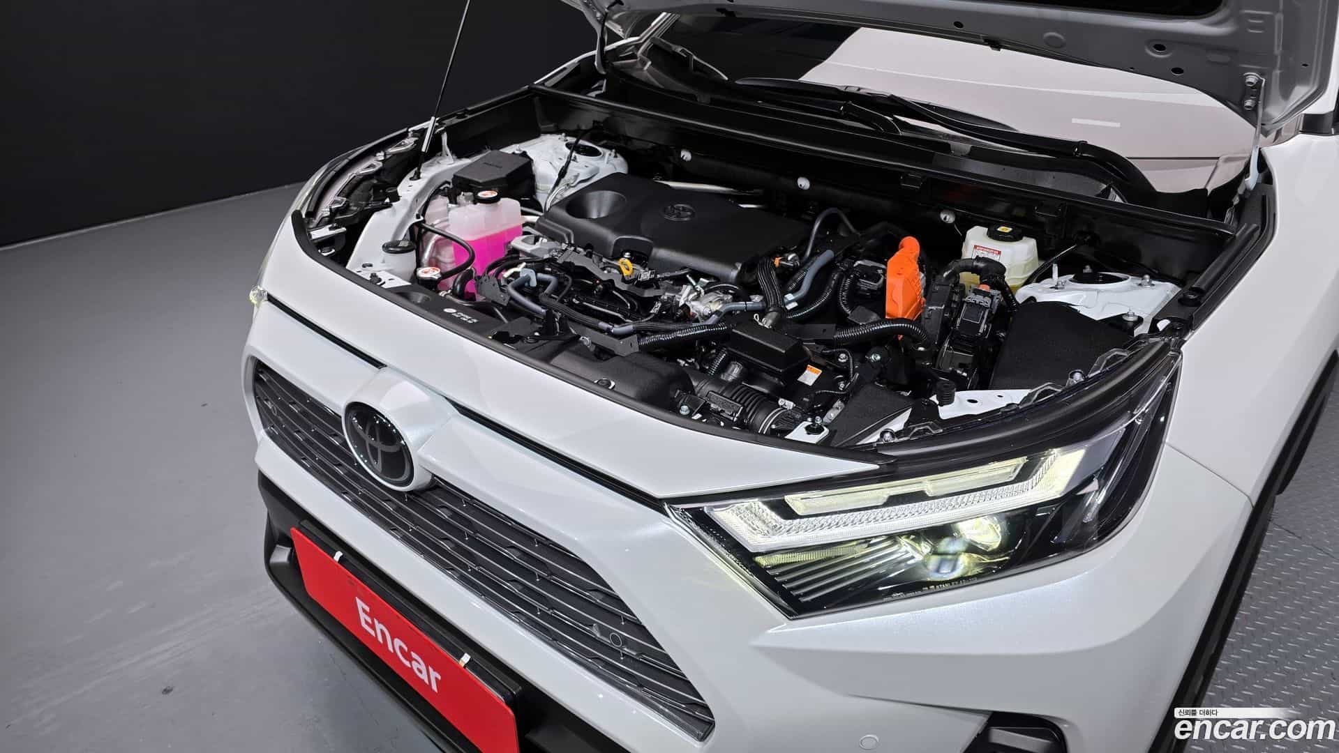 RAV4 Toyota 2025.5-INNER-006