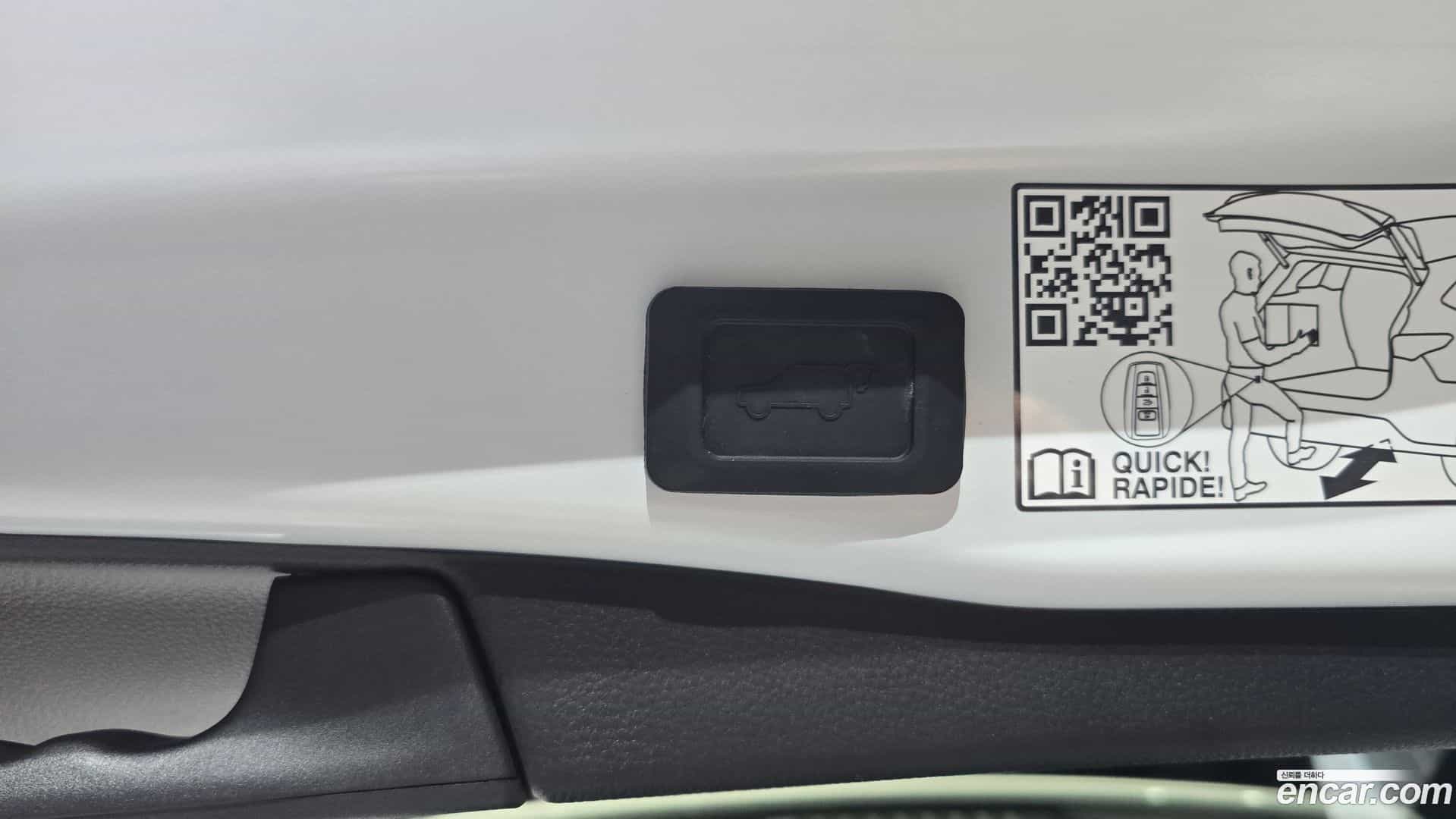 RAV4 Toyota 2025.5-OPTION-024