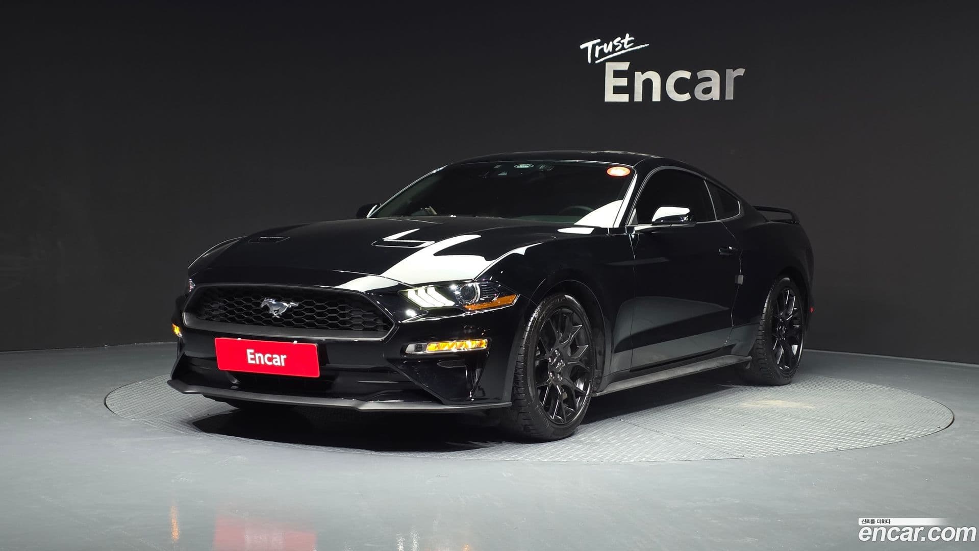 Main__Slider__Photo:Mustang Ford 2022.3-0