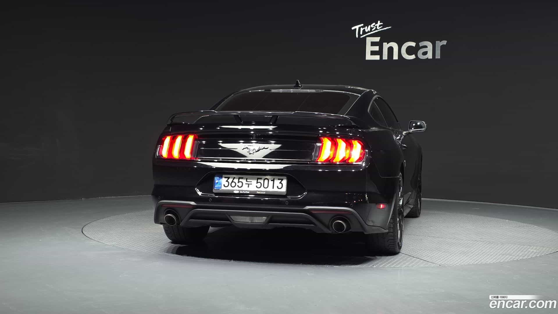 Mustang Ford 2022.3-OUTER-004