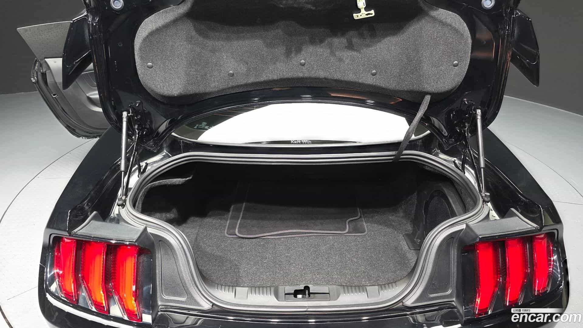Mustang Ford 2022.3-OPTION-024