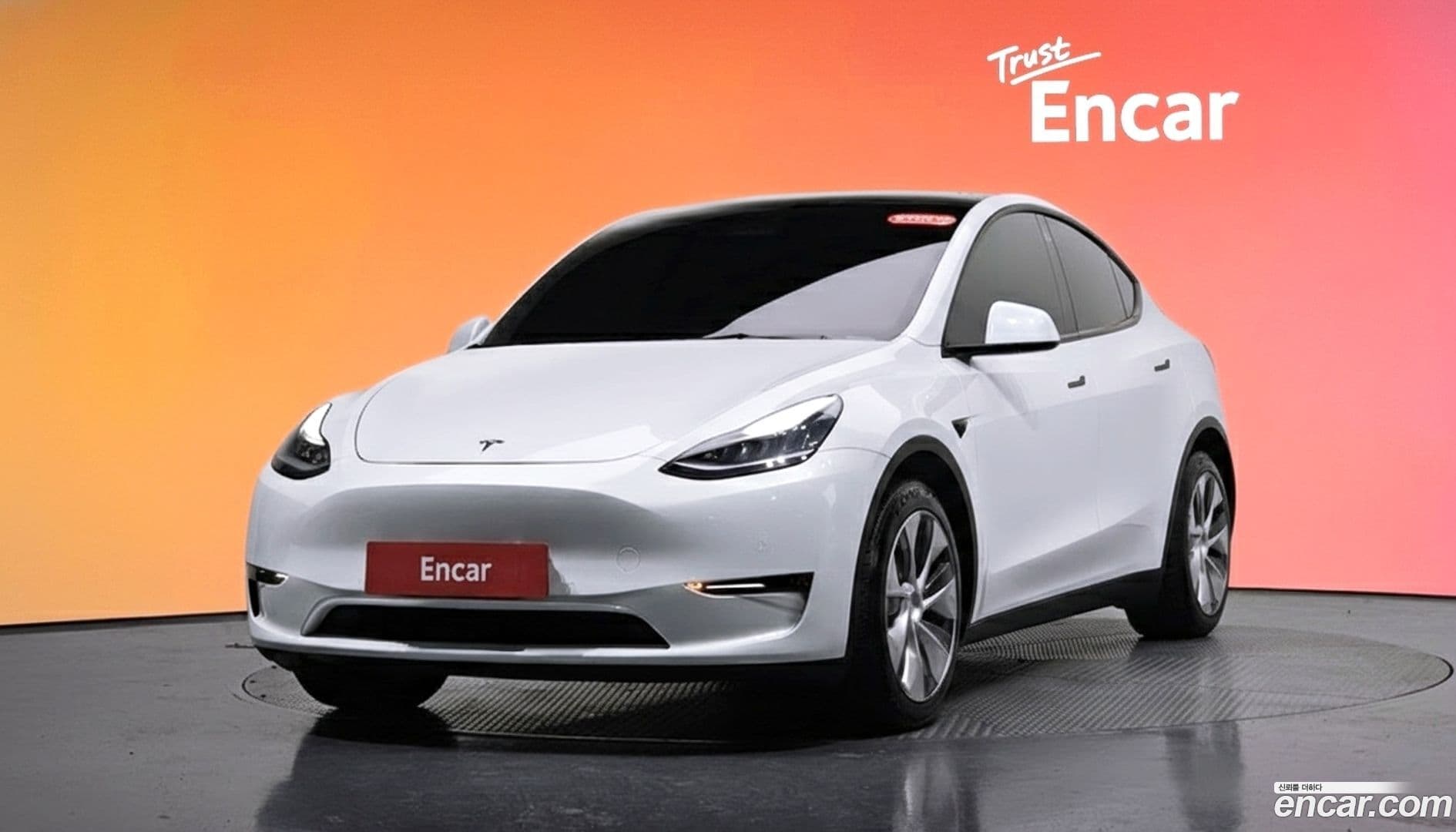 Main__Slider__Photo:Model Y Tesla 2021.7-0