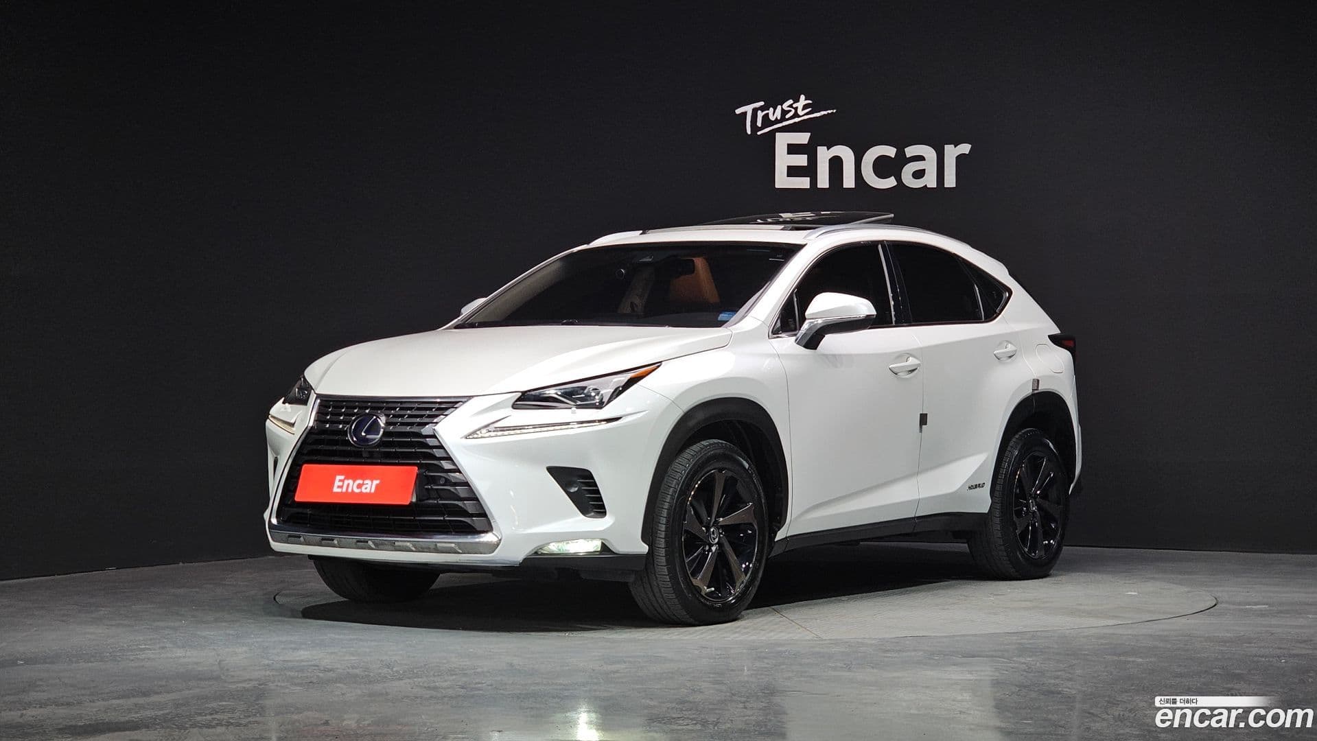 Main__Slider__Photo:NX Lexus 2018.10-0