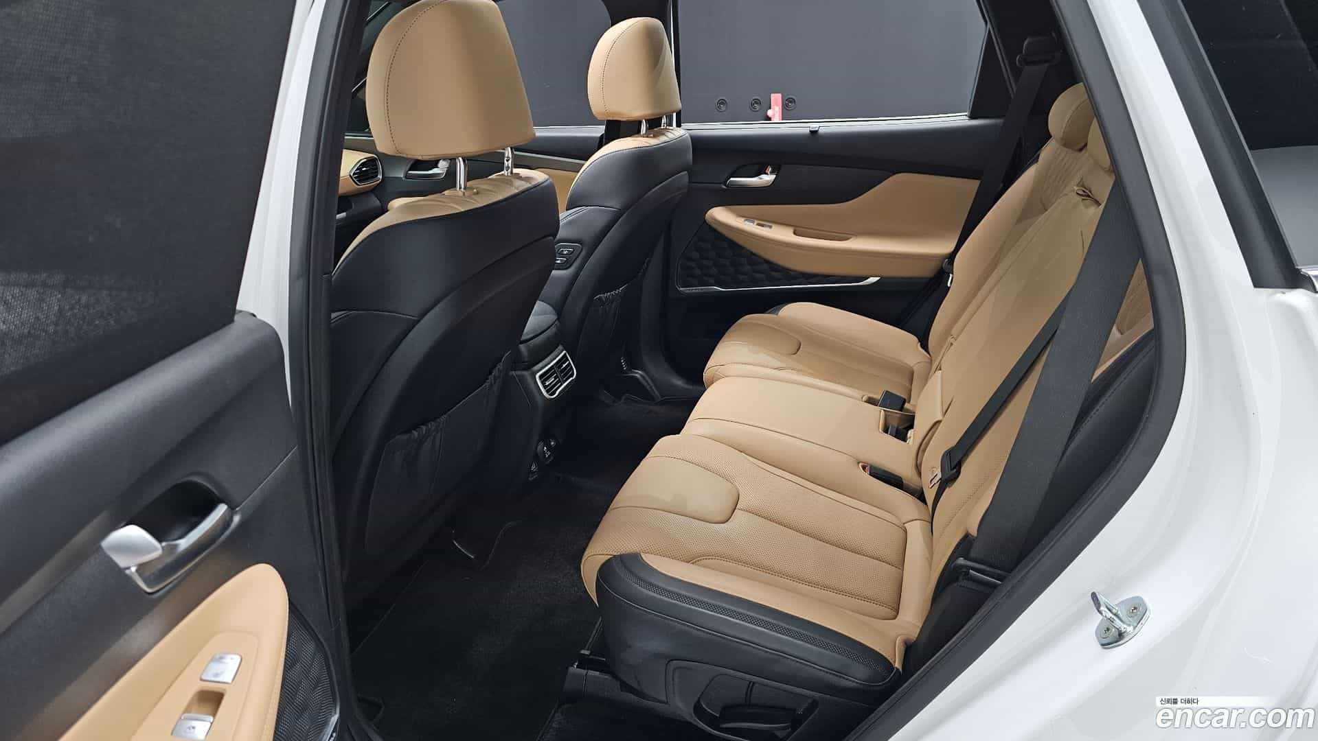 Santafe Hyundai 2022.1-OPTION-016