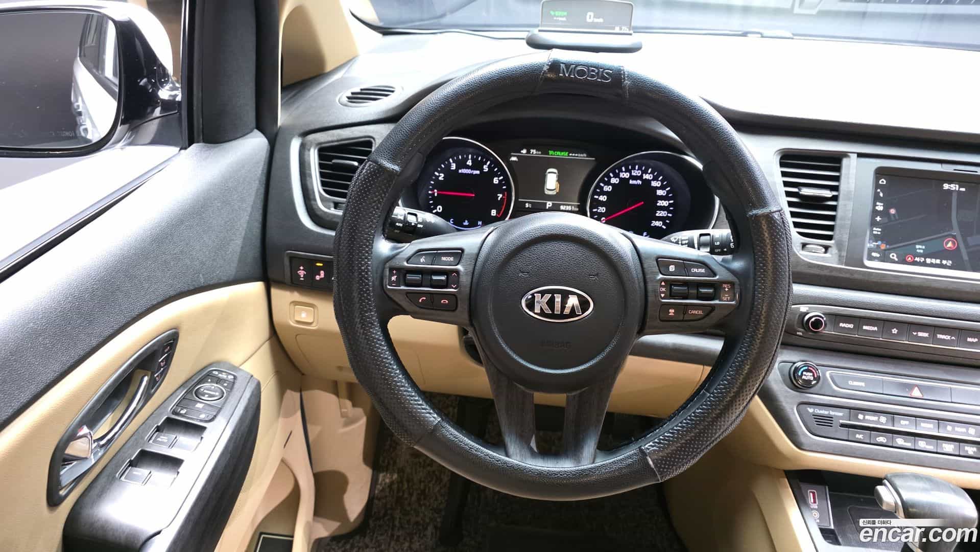 Canival Kia 2019.6-OPTION-017