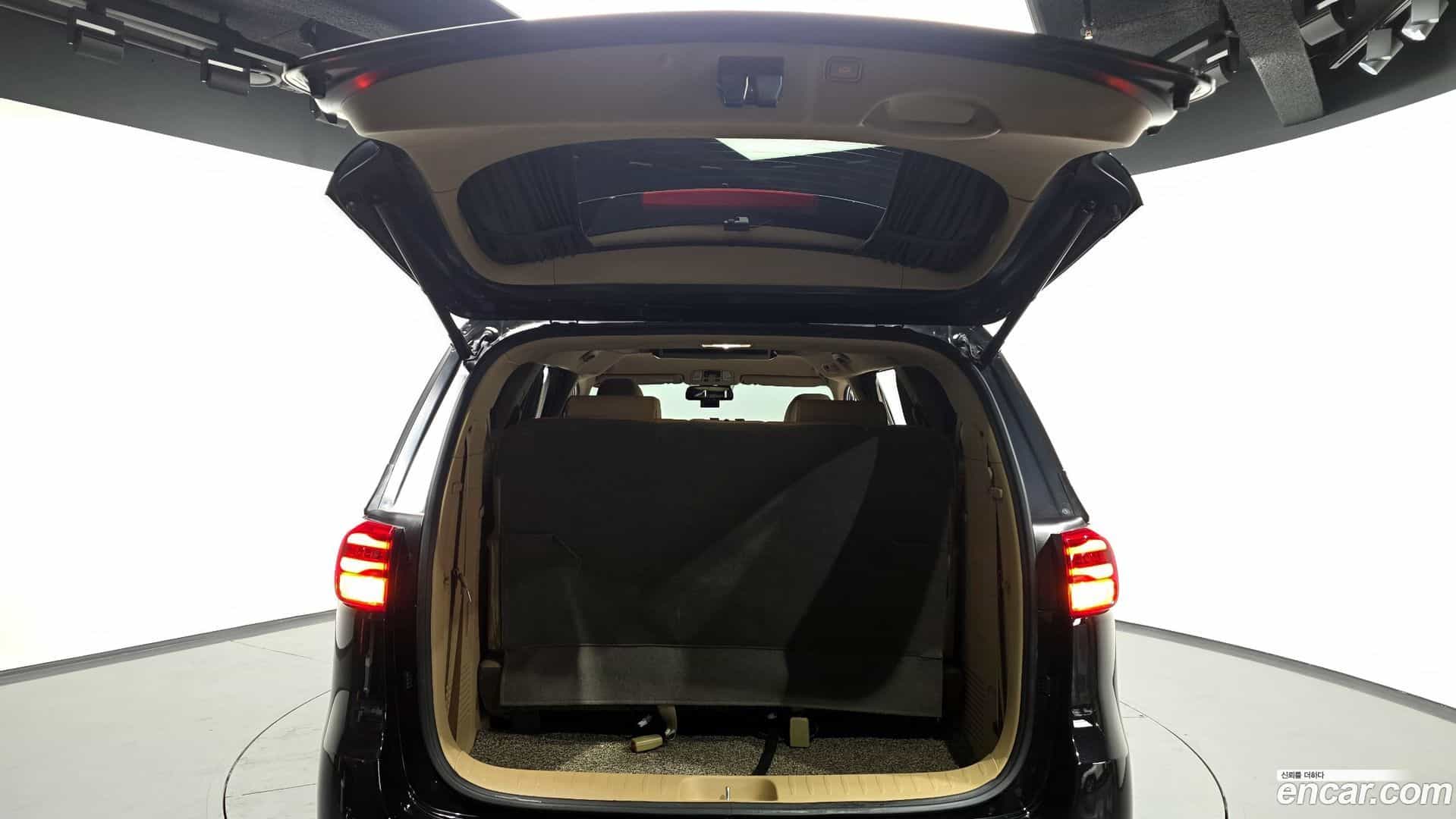 Canival Kia 2019.4-OPTION-024