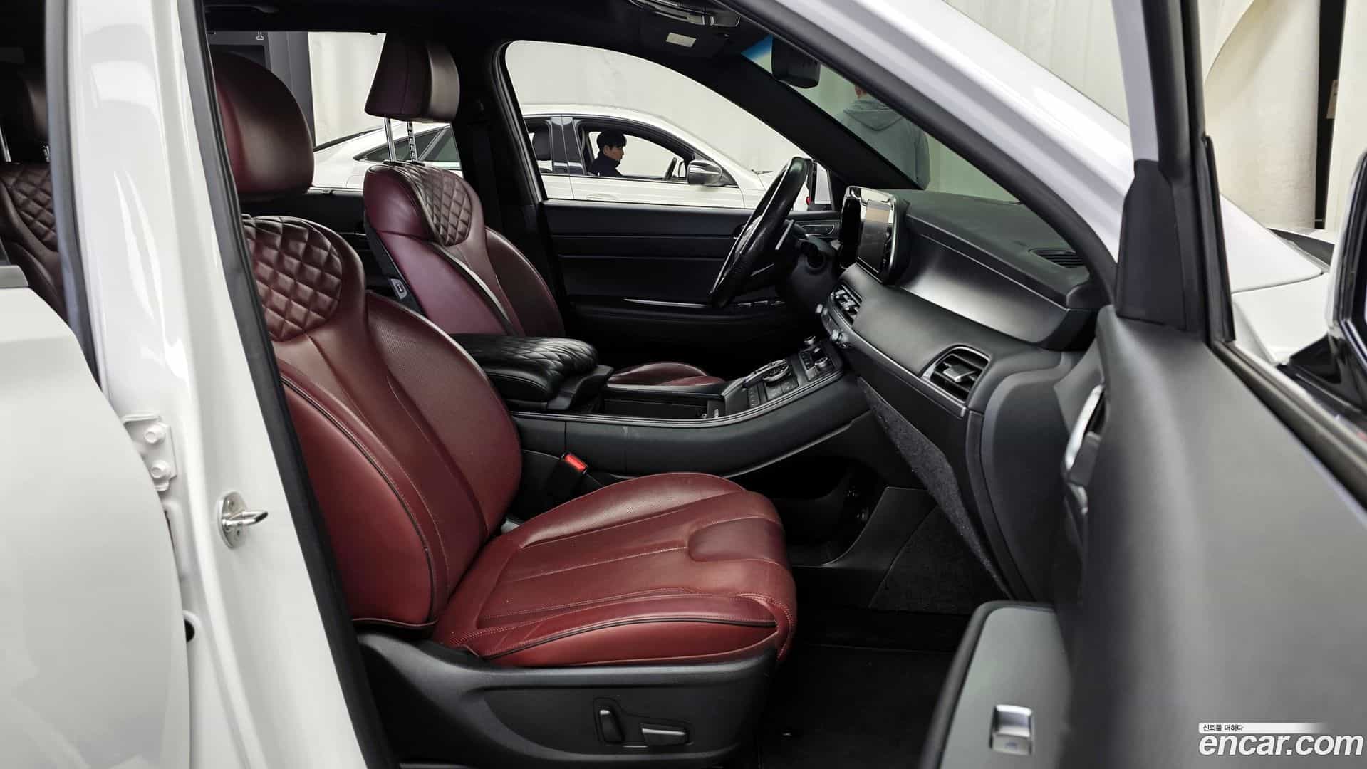 Palisade Hyundai 2019.1-OPTION-015