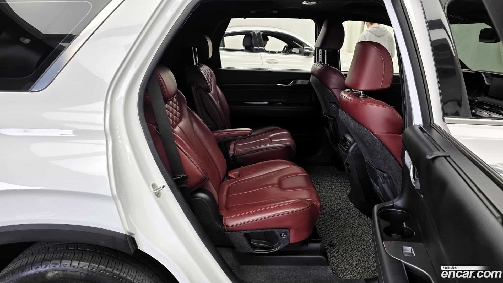 Palisade Hyundai 2019.1-OPTION-016