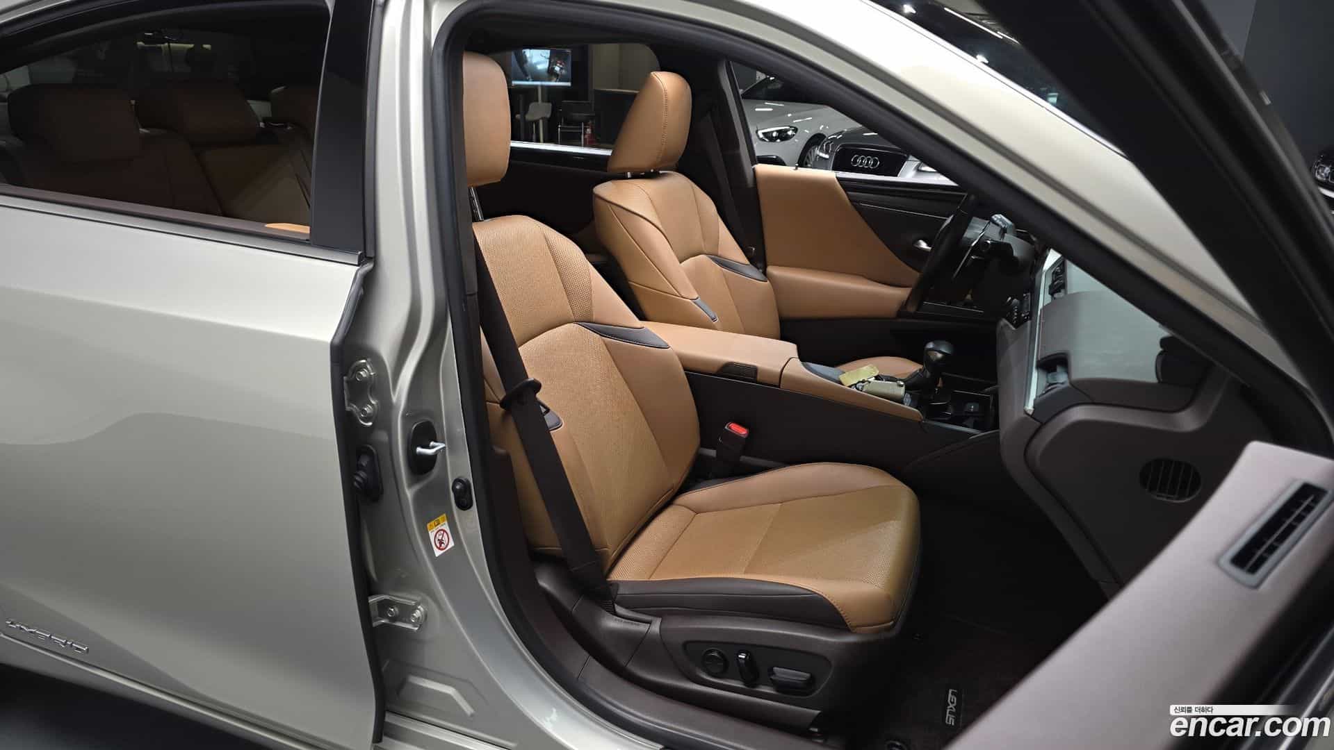 ES Lexus 2018.11-OPTION-016