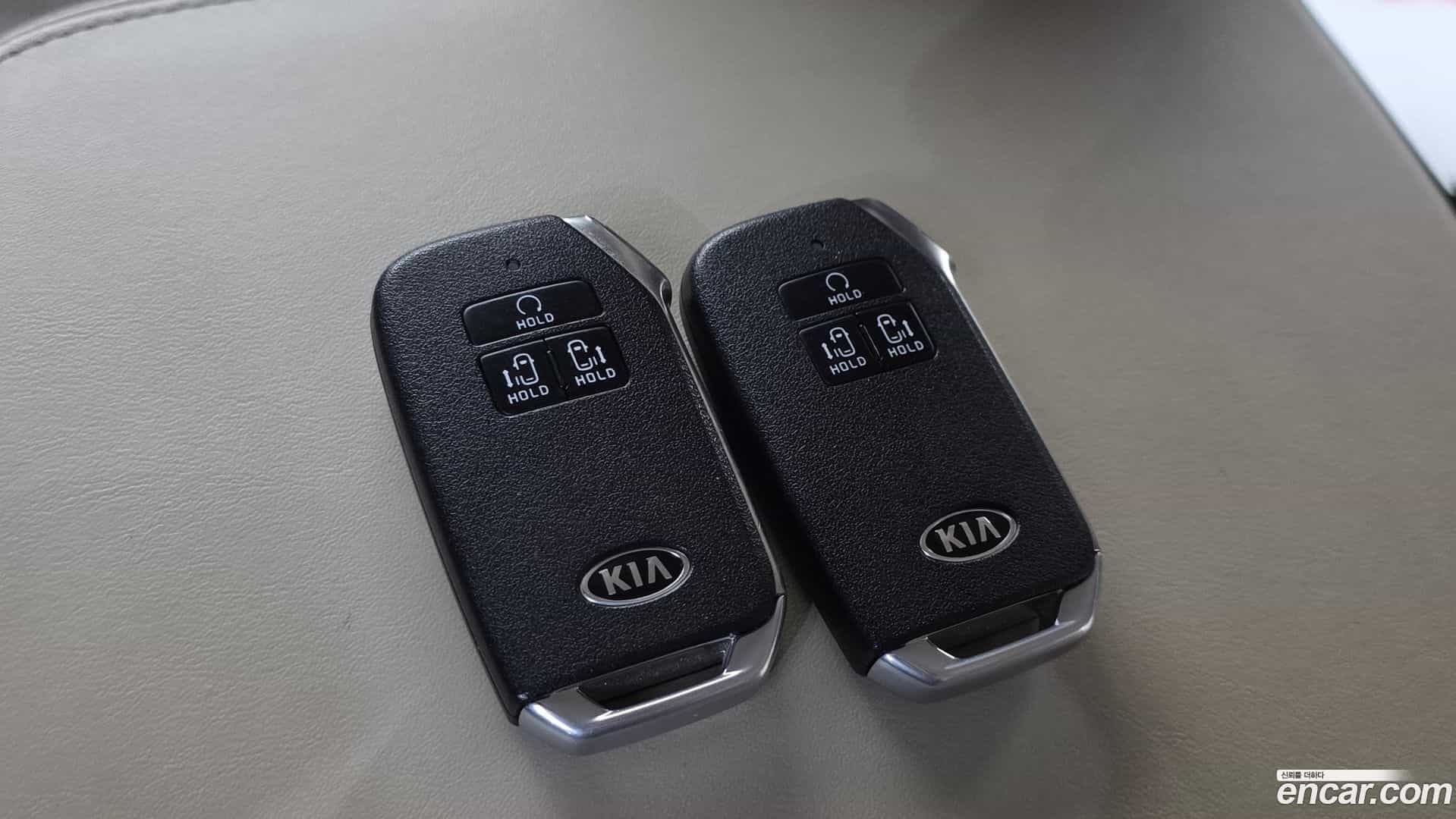 Canival Kia 2020.10-OPTION-021