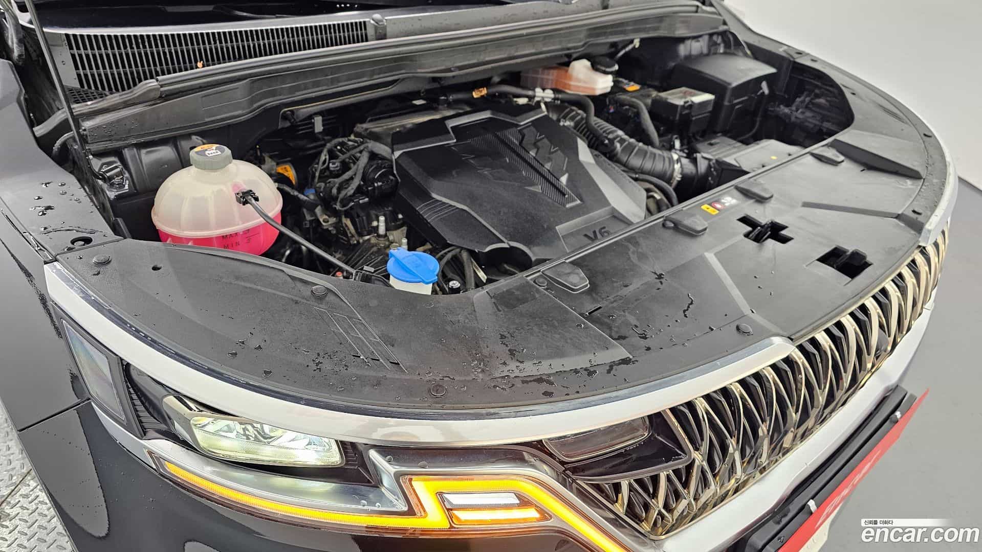 Canival Kia 2021.5-OUTER-006