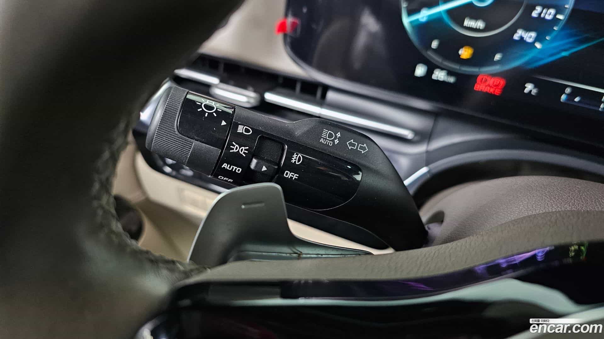 Canival Kia 2021.5-OPTION-021