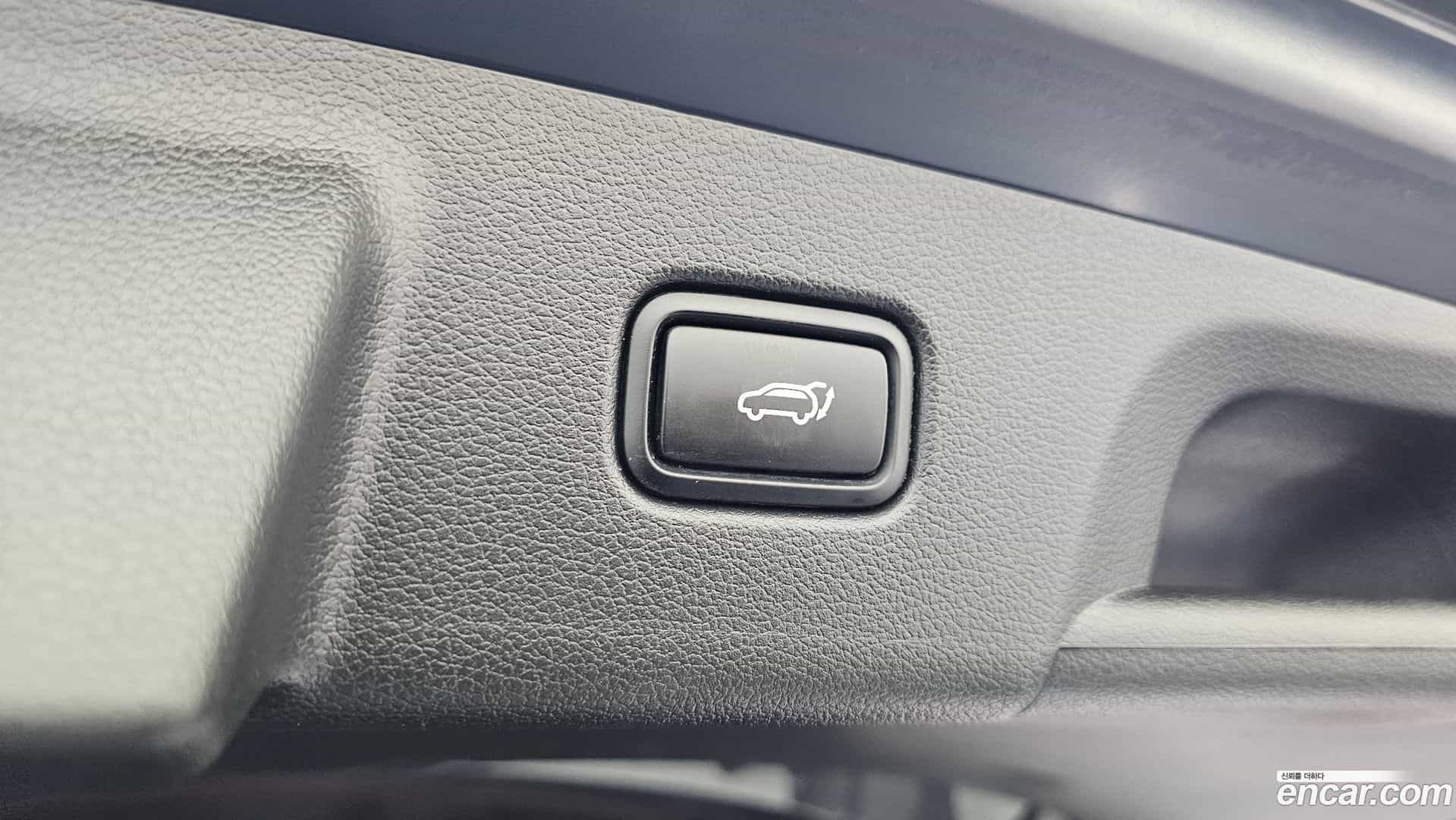 Palisade Hyundai 2020.11-OPTION-021