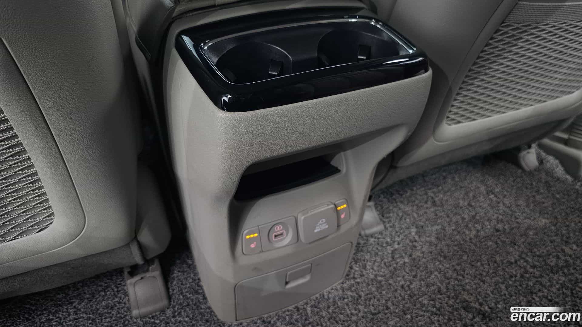 Canival Kia 2018.5-OPTION-023
