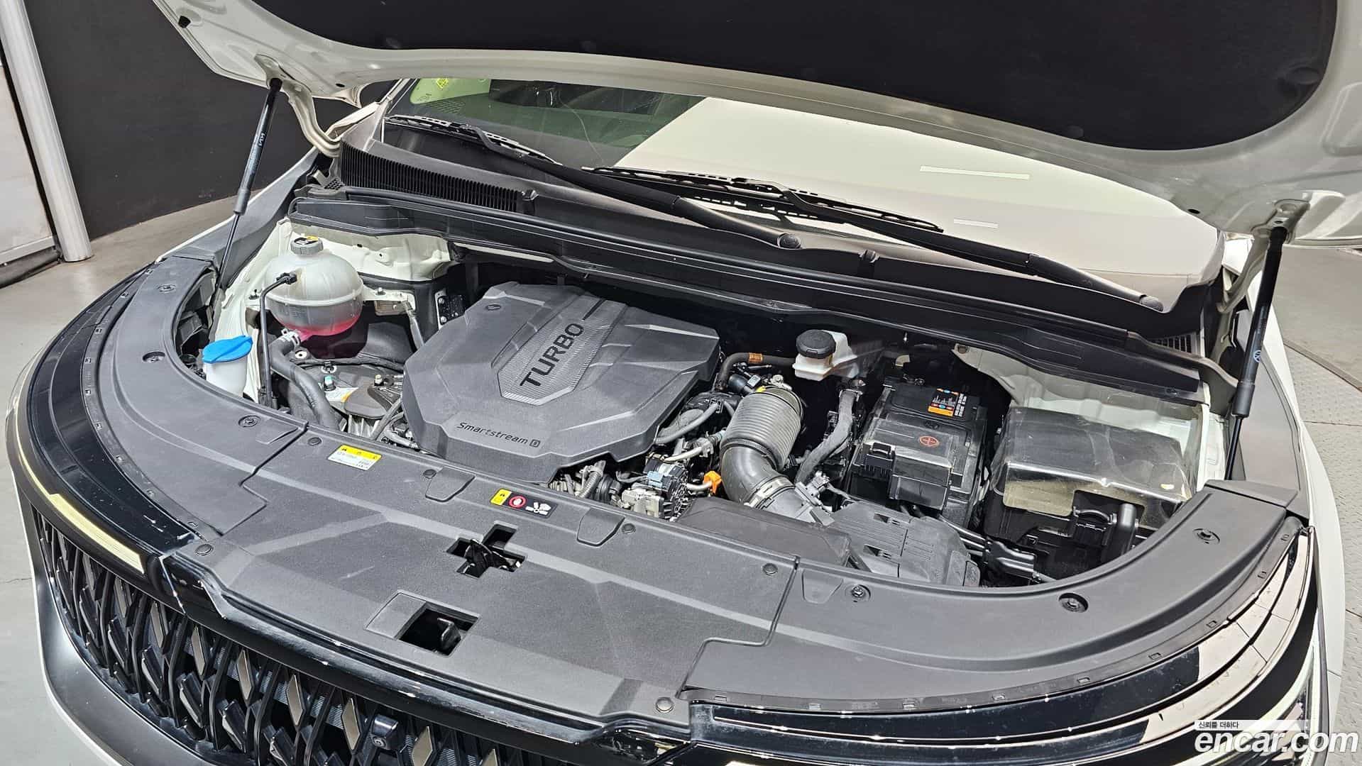 Canival Kia 2024.4-OUTER-006