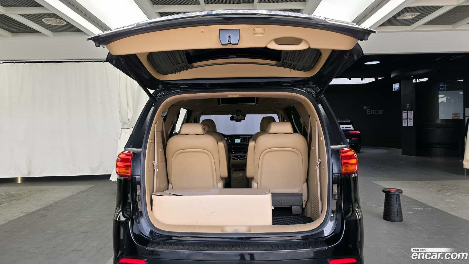 Canival Kia 2018.6-OPTION-024
