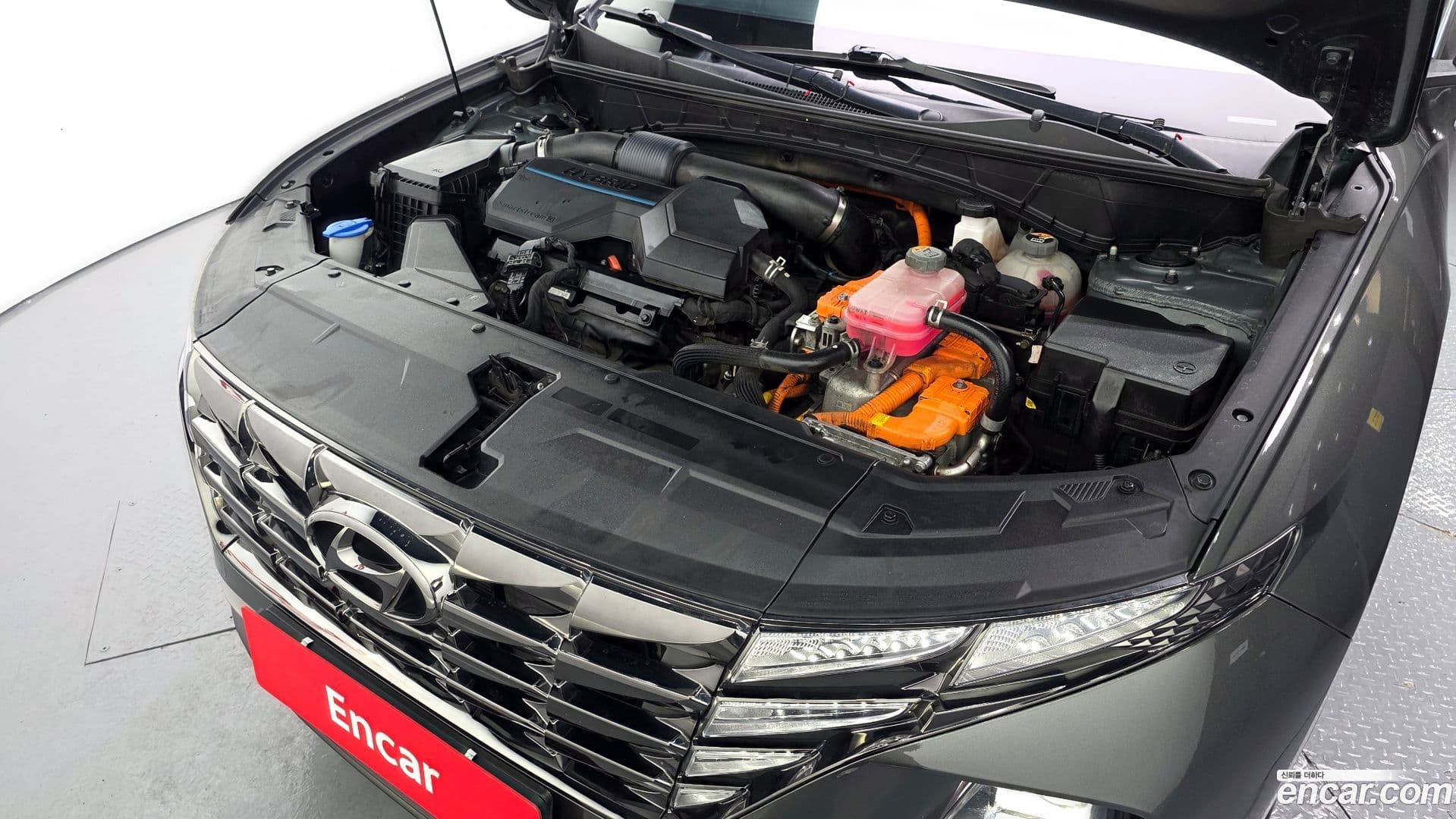 Main__Slider__Photo:Tucson Hyundai 2021.6-5