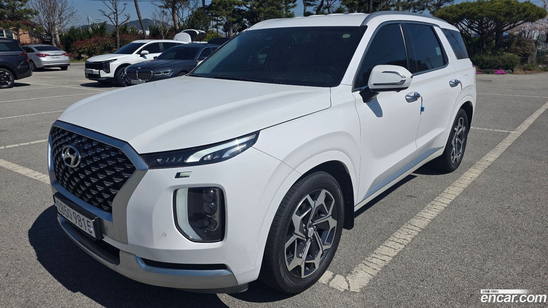Main__Slider__Photo:Palisade Hyundai 2021.3-0