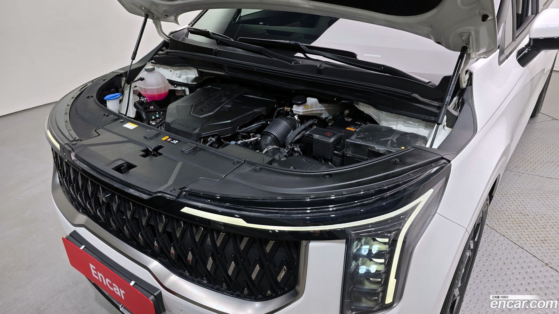 Main__Slider__Photo:Canival Kia 2024.6-5