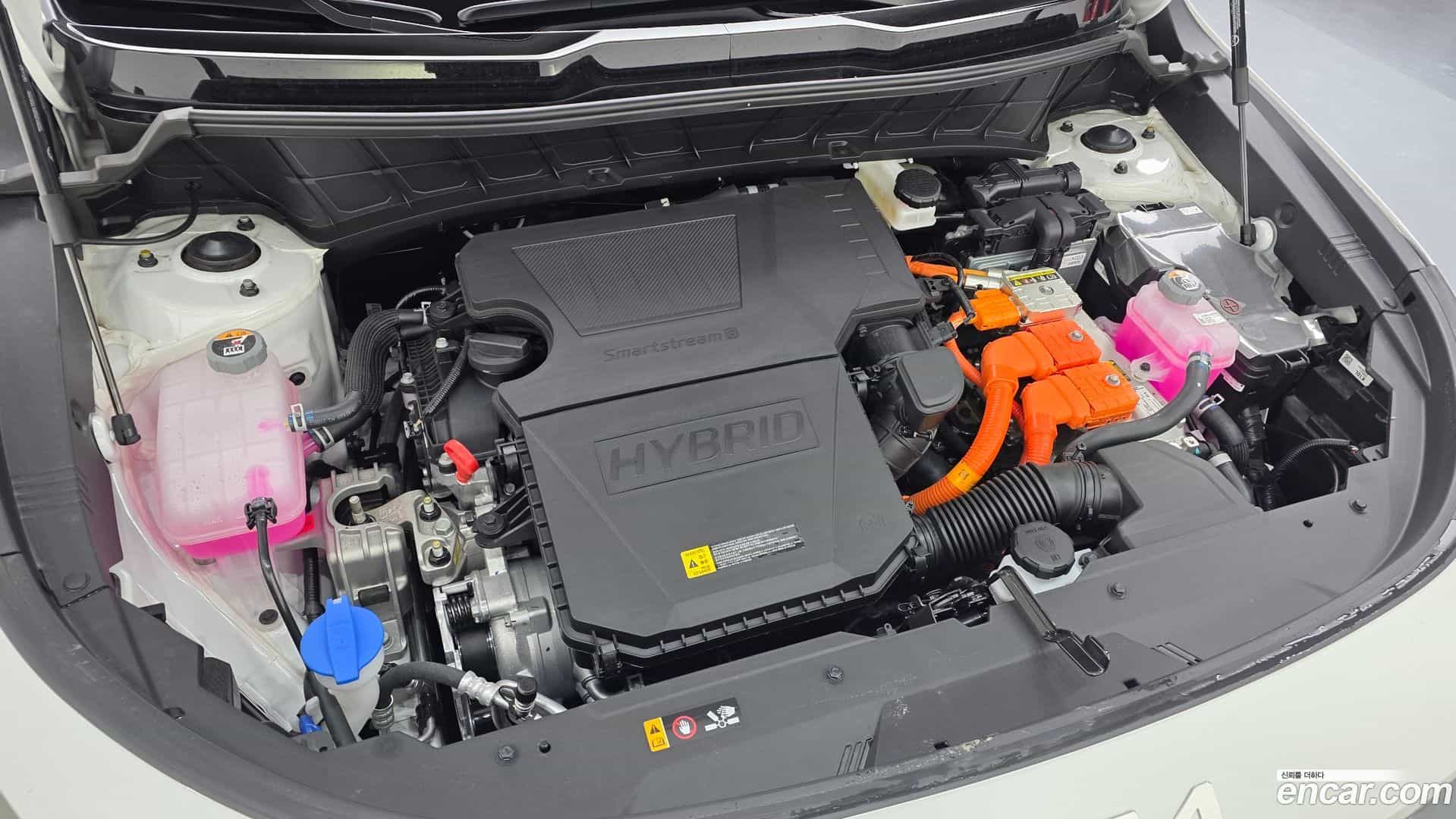 Niro Kia 2025.10-OUTER-006