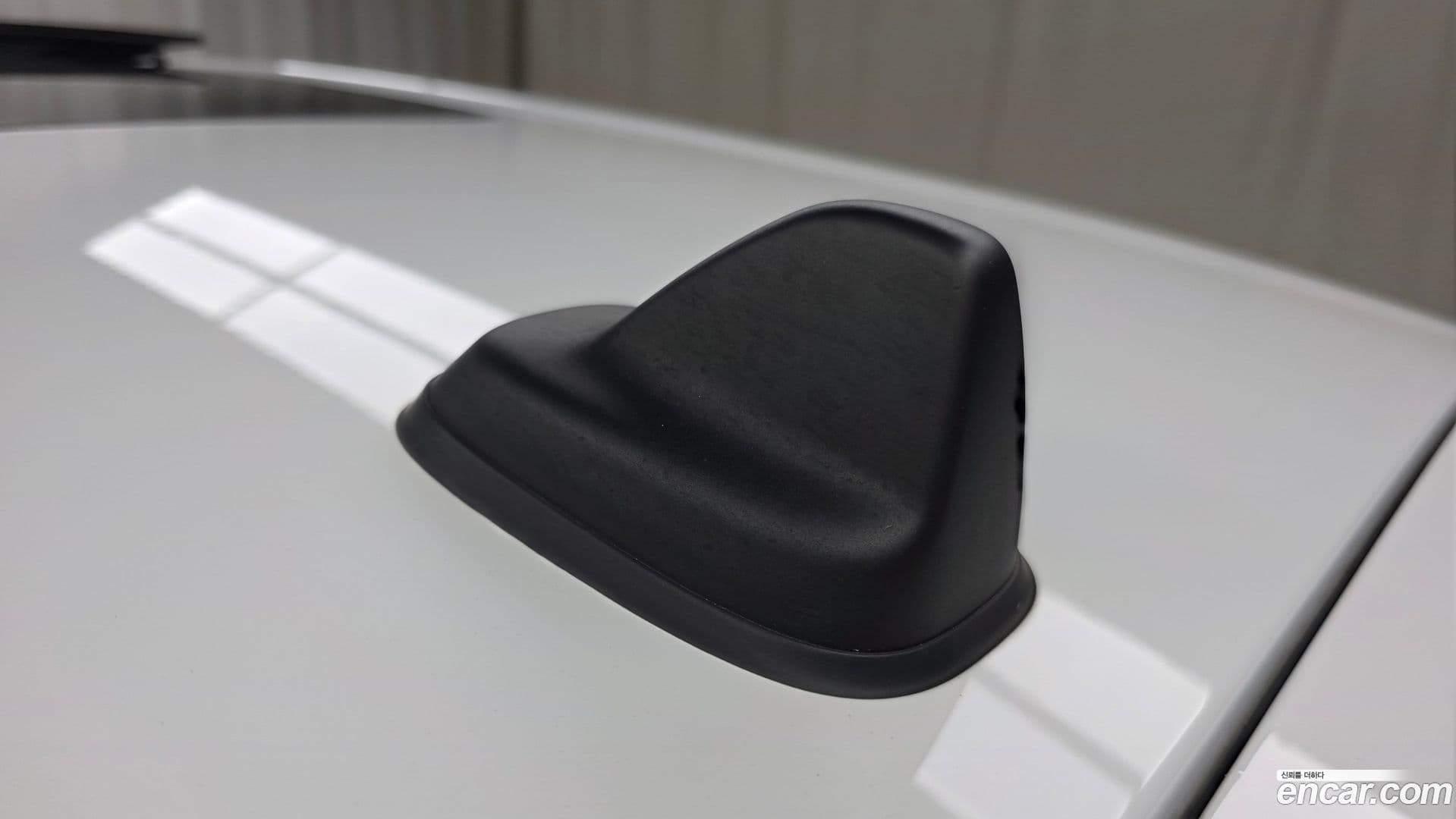 Main__Slider__Photo:Clubman Mini 2022.4-27