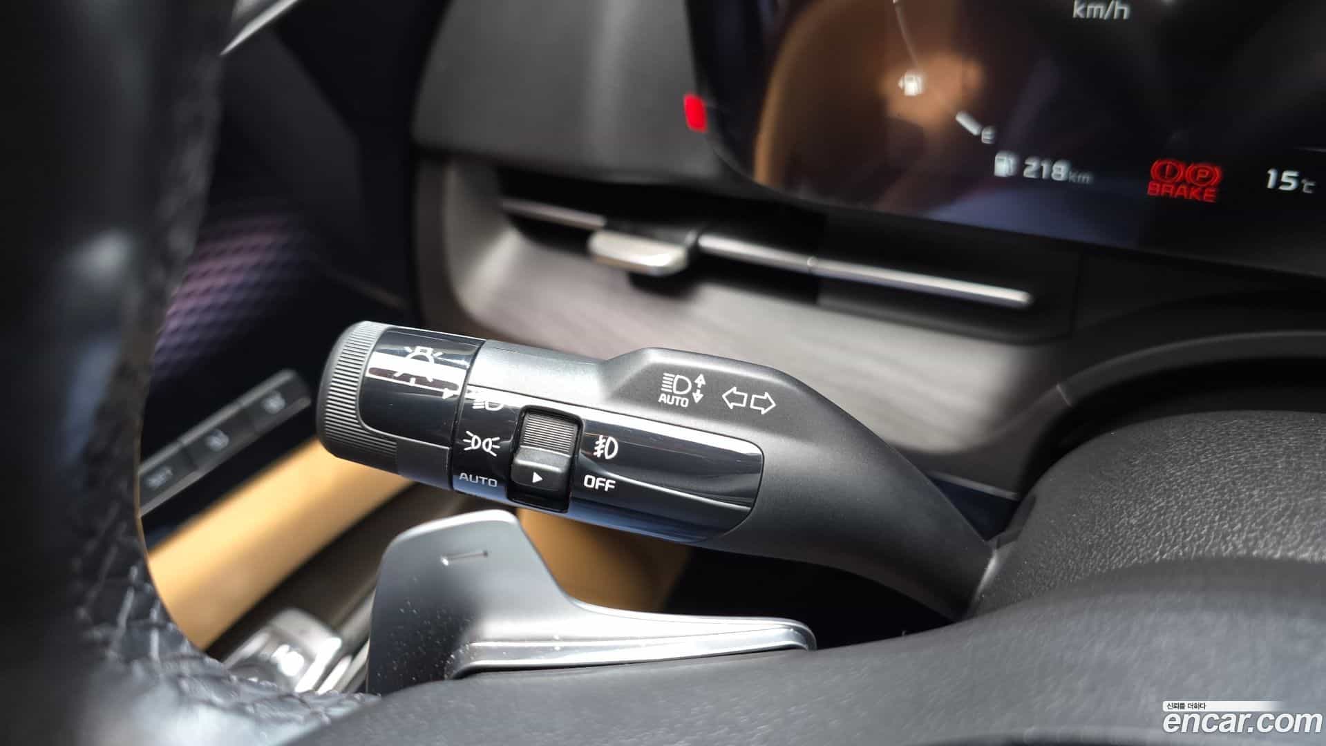 Canival Kia 2020.10-OPTION-042