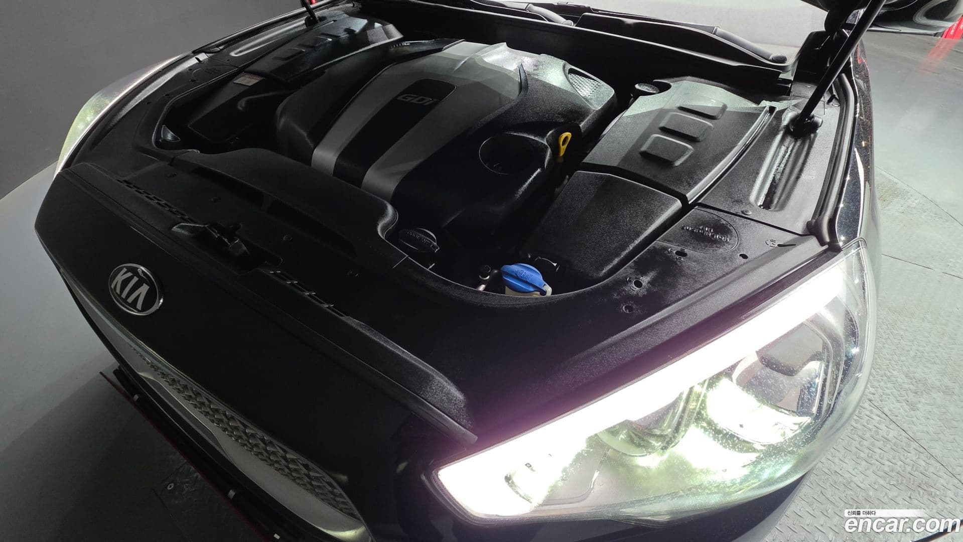 Main__Slider__Photo:K9 Kia 2015.2-5