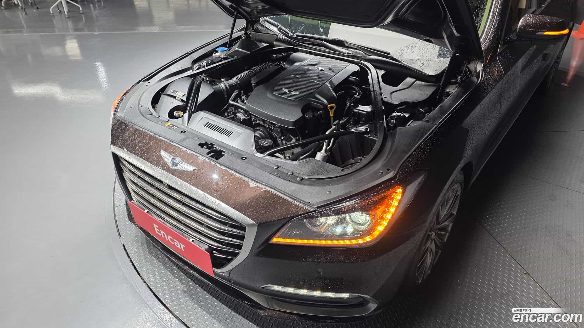 G80 Genesis 2018.2-OUTER-006