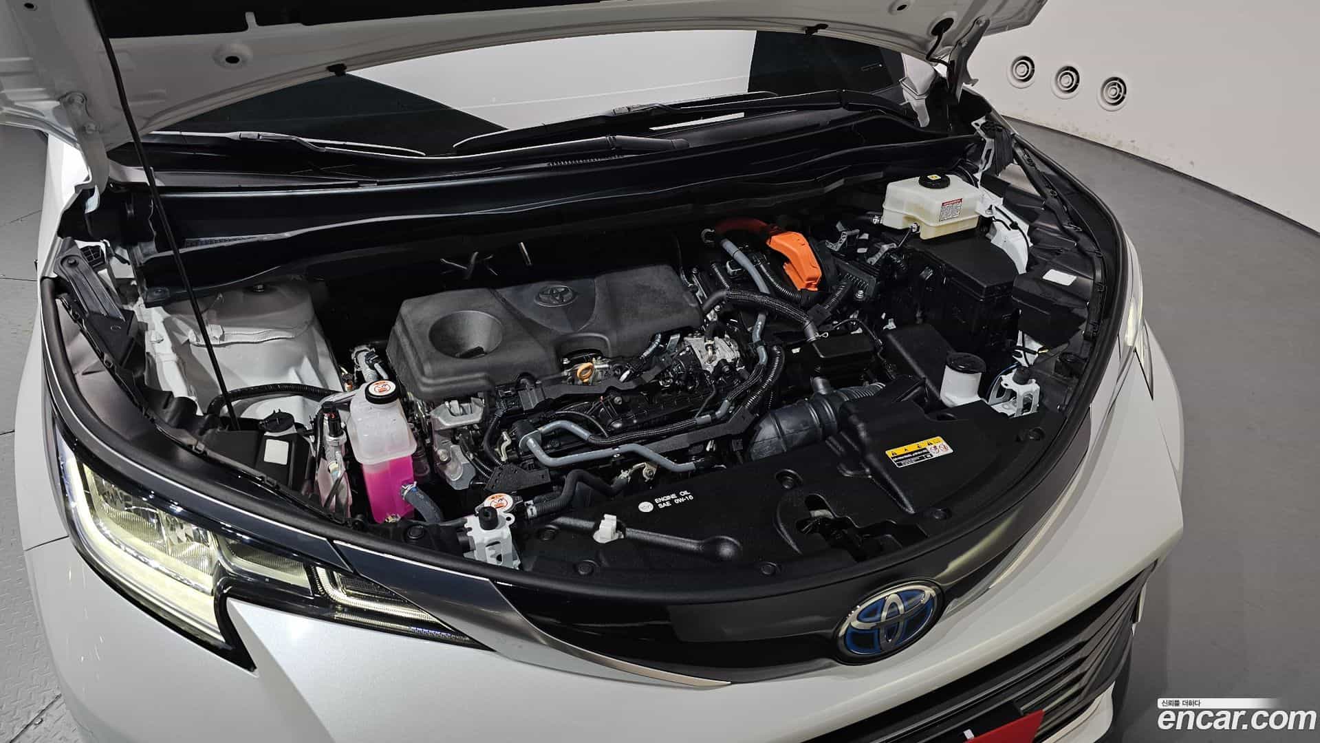 Sienna Toyota 2024.11-OUTER-006