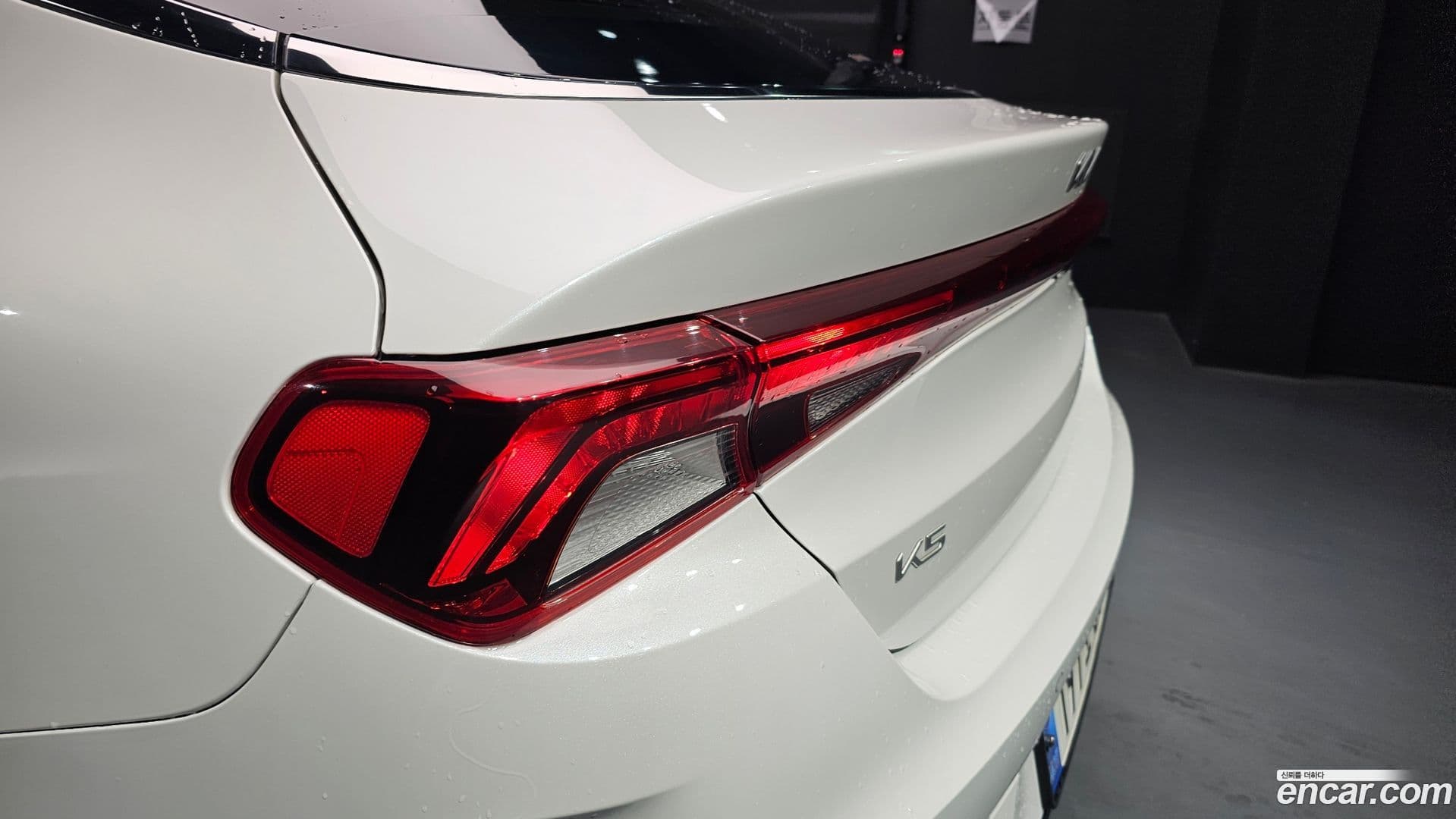 Main__Slider__Photo:K5 Kia 2022.9-22