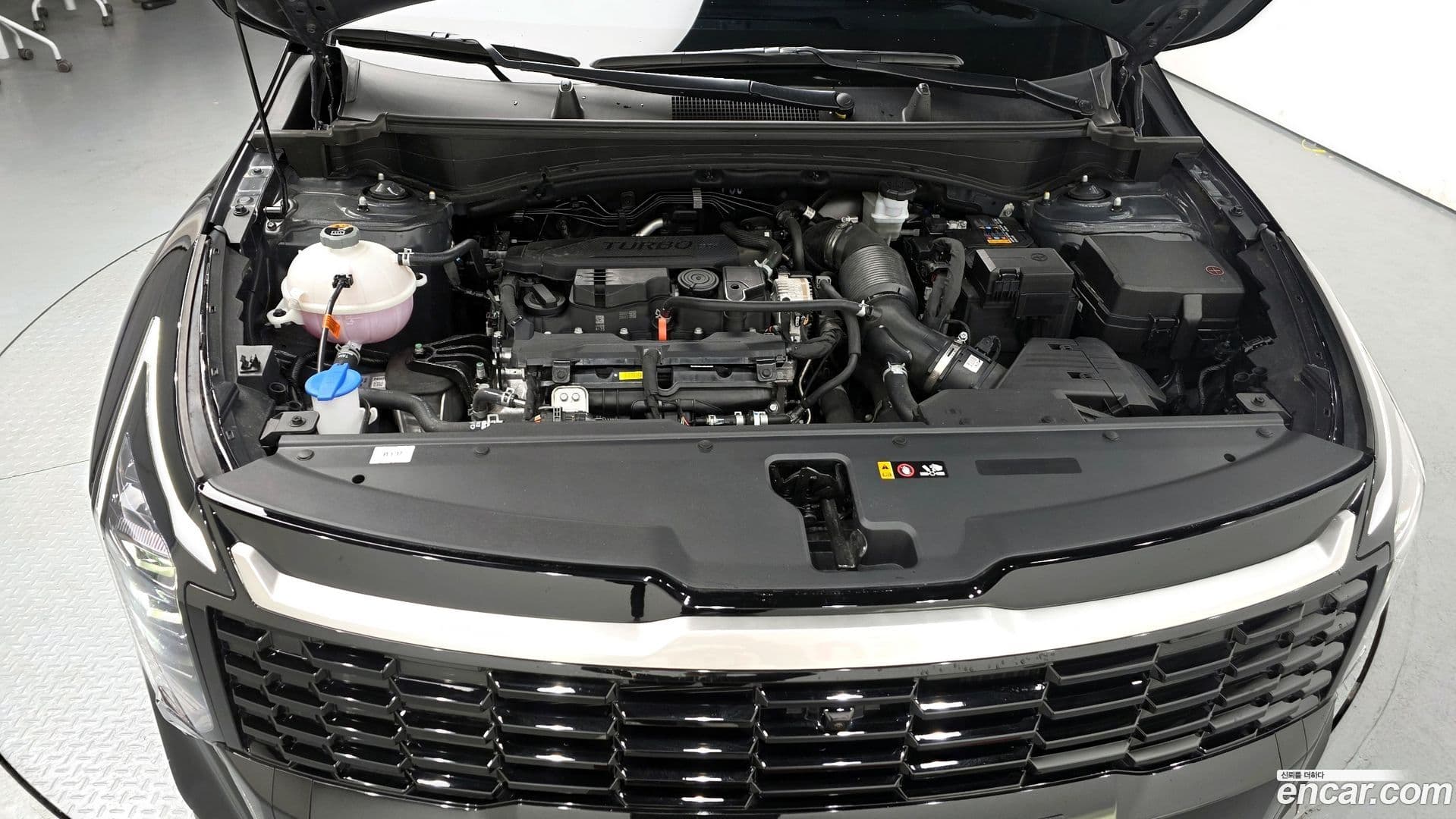 Main__Slider__Photo:Sportage Kia 2025.11-5
