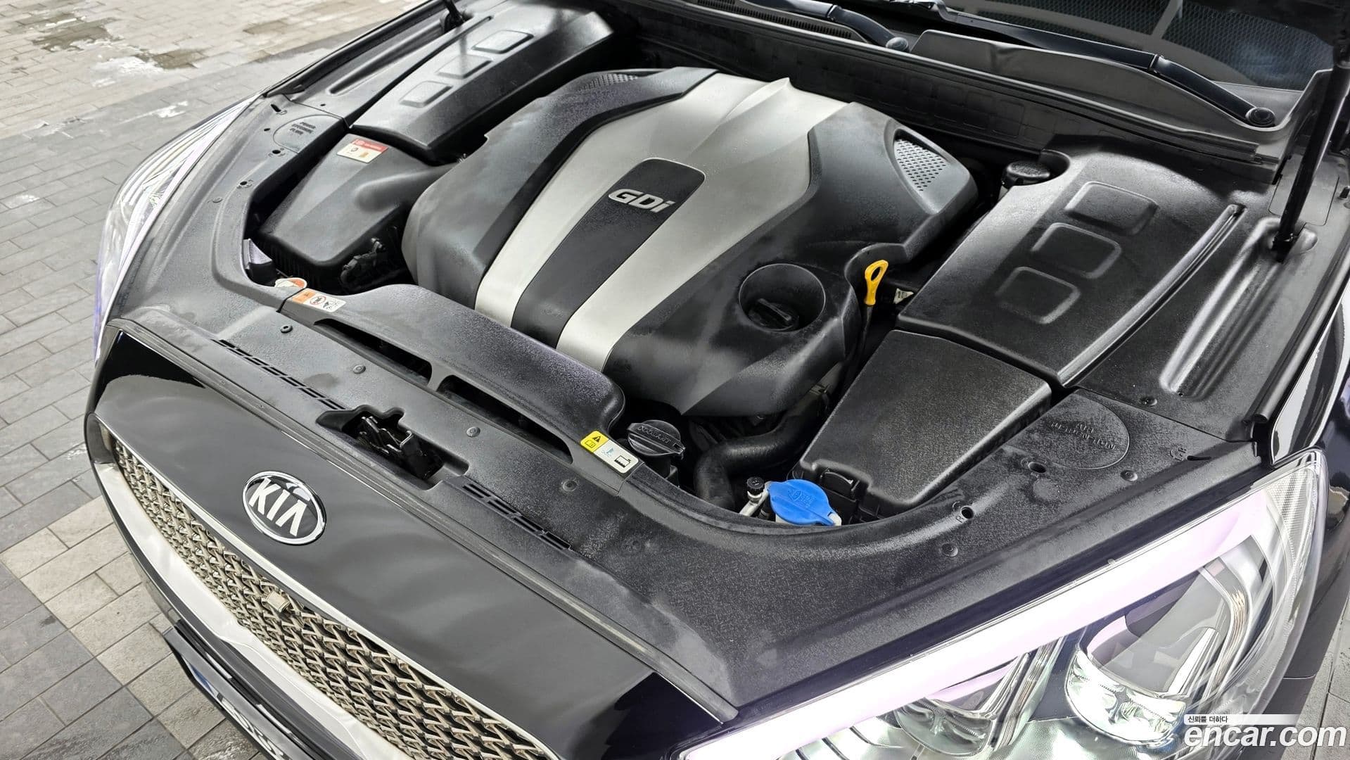 Main__Slider__Photo:K9 Kia 2015.6-5