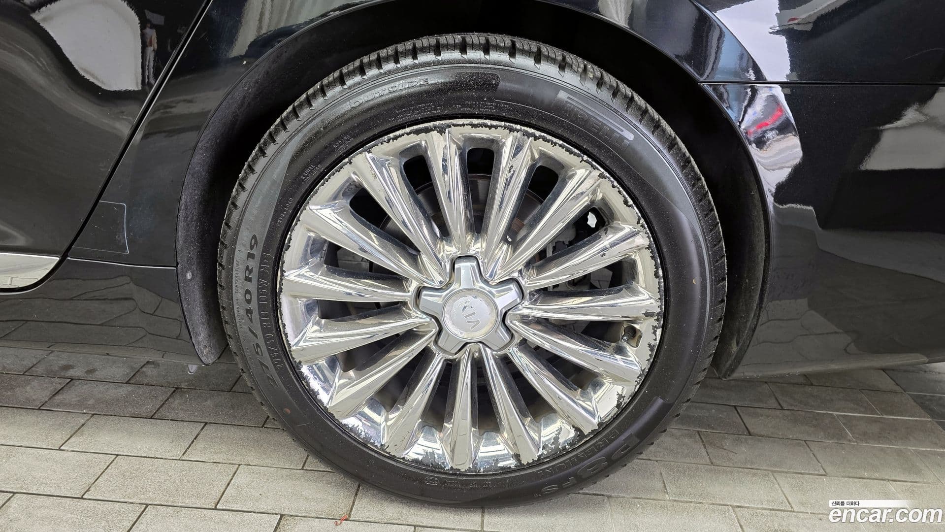 Main__Slider__Photo:K9 Kia 2015.6-20