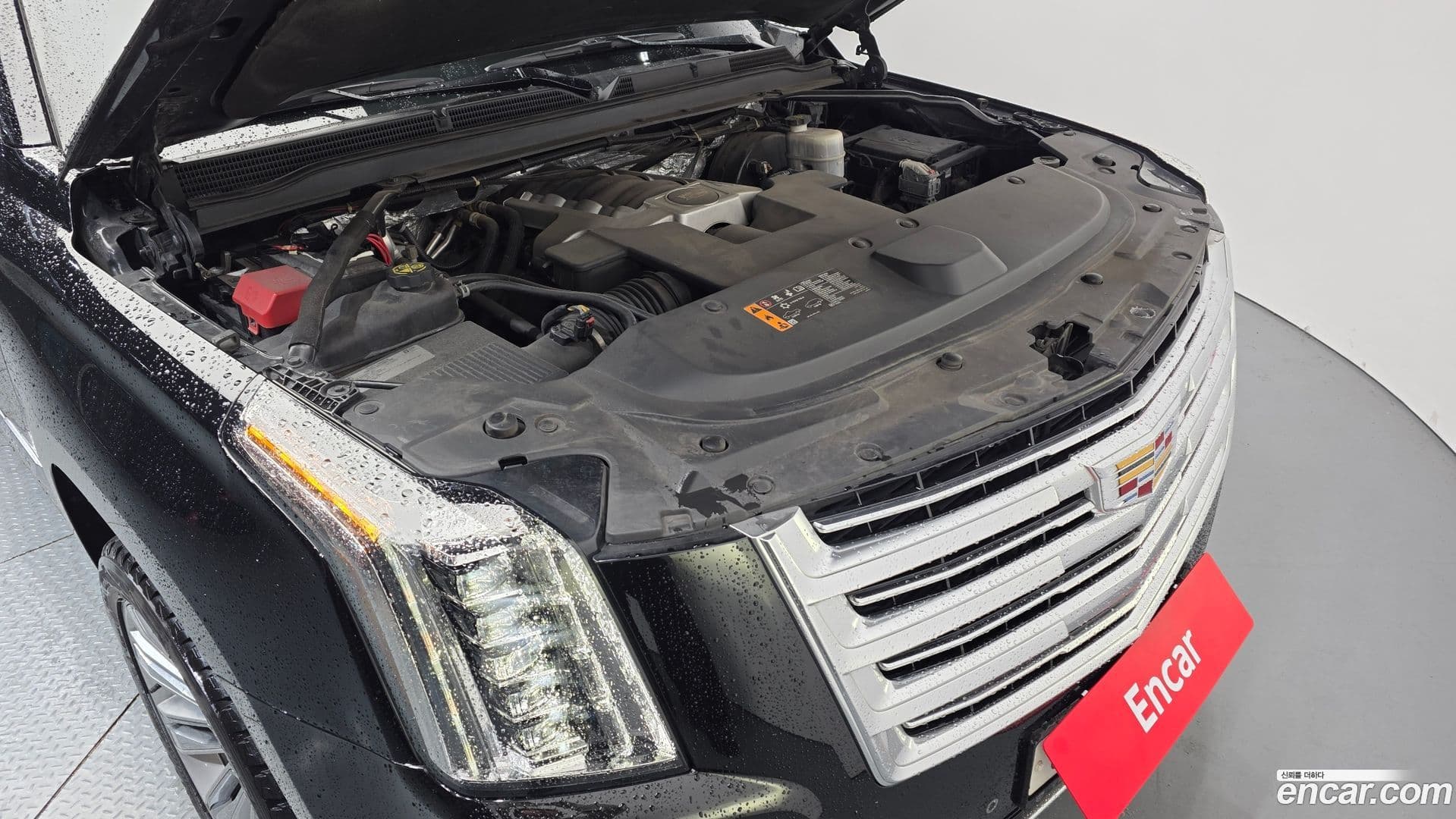 Main__Slider__Photo:Escalade Cadillac 2017.4-5