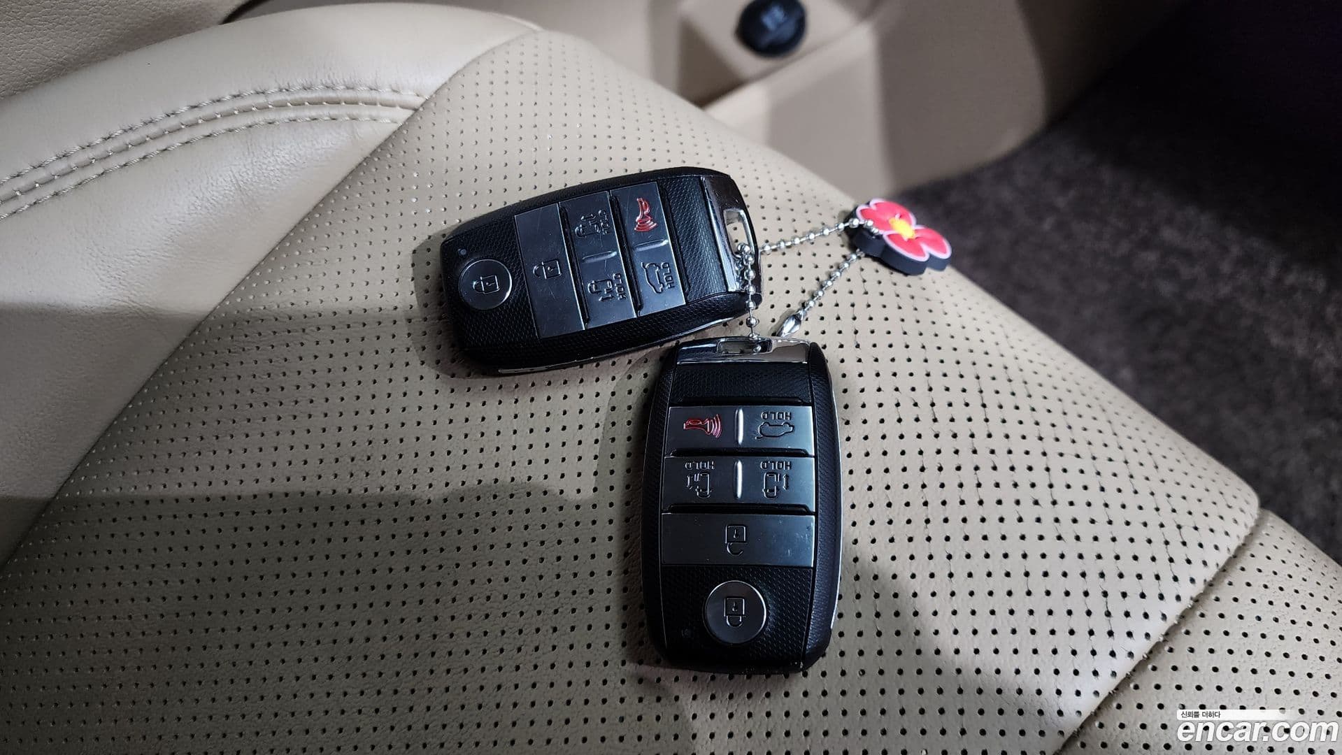 Main__Slider__Photo:Canival Kia 2018.8-31