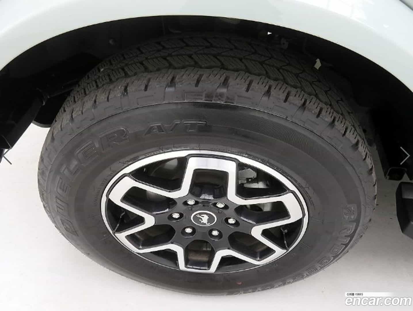 Bronco Ford 2023.11-OPTION-024