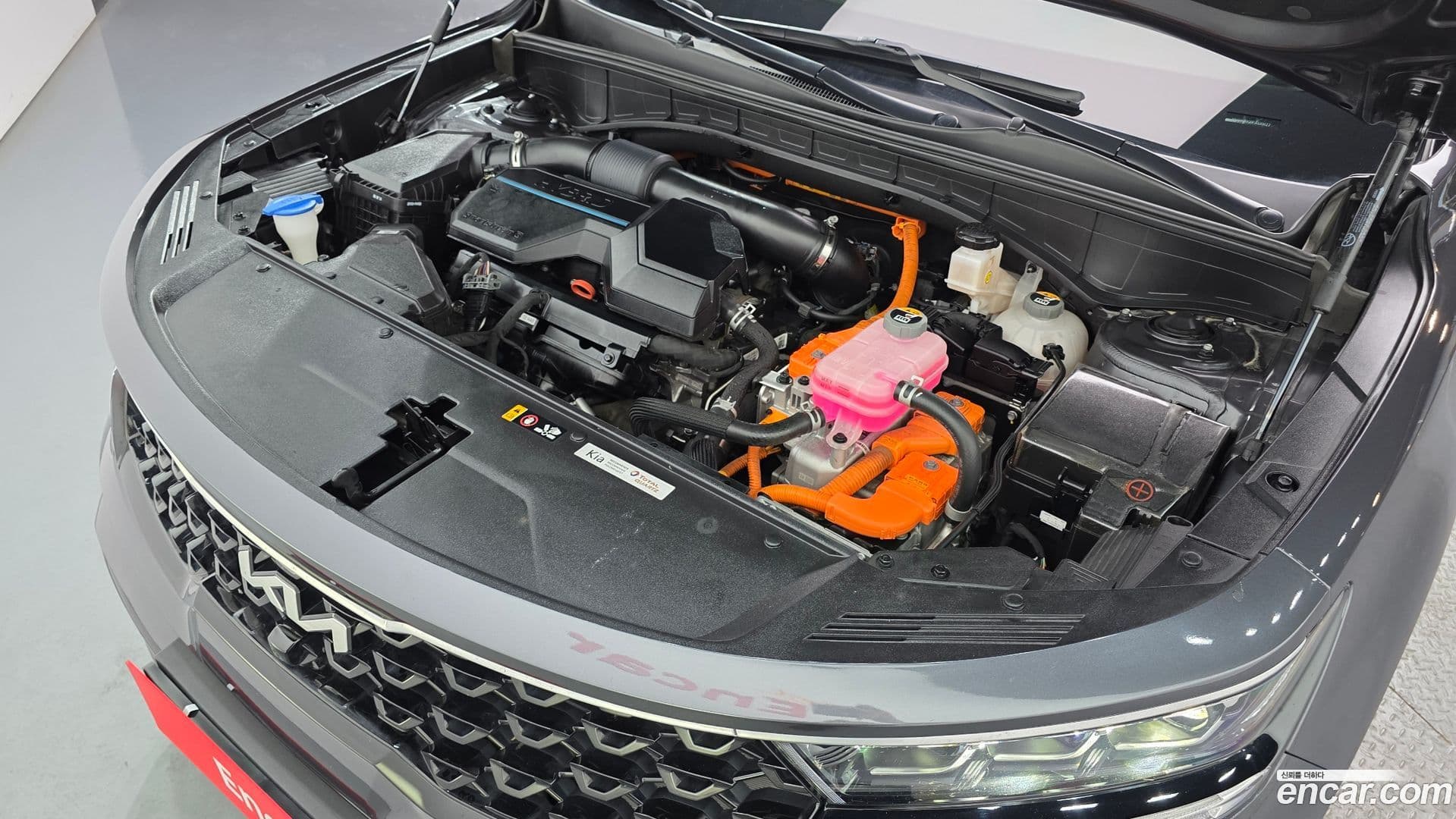 Main__Slider__Photo:Sorento Kia 2022.7-5