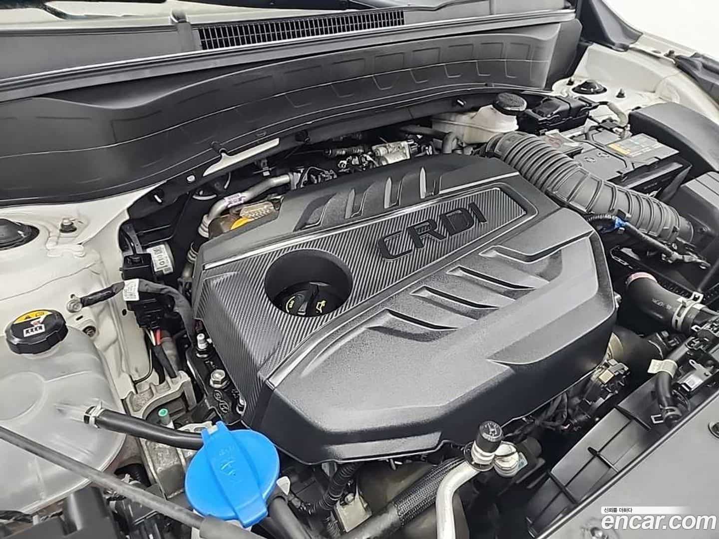 Seltos Kia 2019.9-OUTER-005