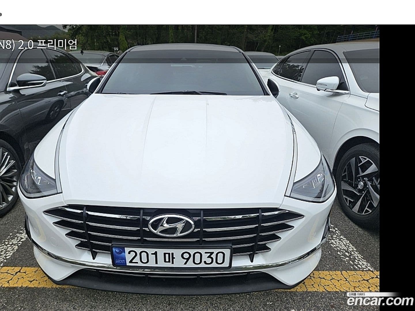 Main__Slider__Photo:Sonata Hyundai 2020.3-0