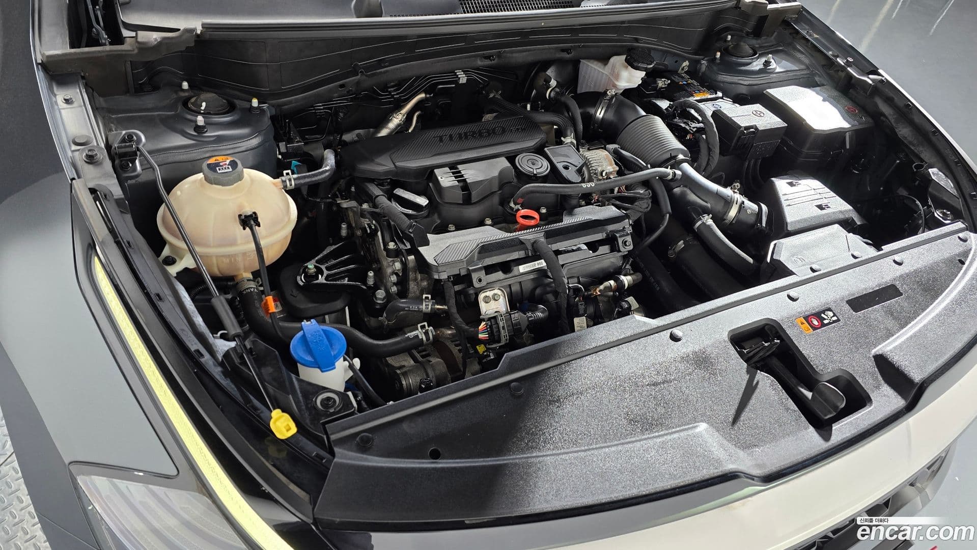 Main__Slider__Photo:Sportage Kia 2022.2-5