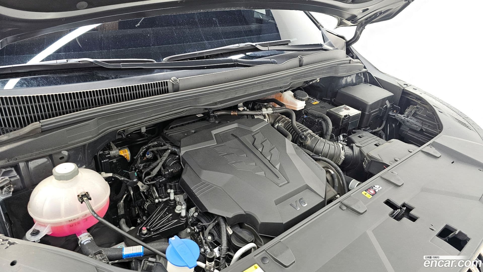Main__Slider__Photo:Canival Kia 2023.3-5