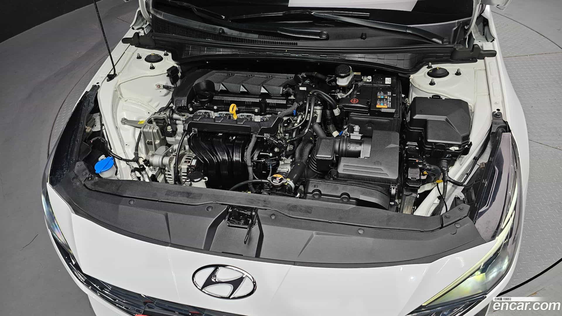 AVANTE Hyundai 2022.0-OUTER-006