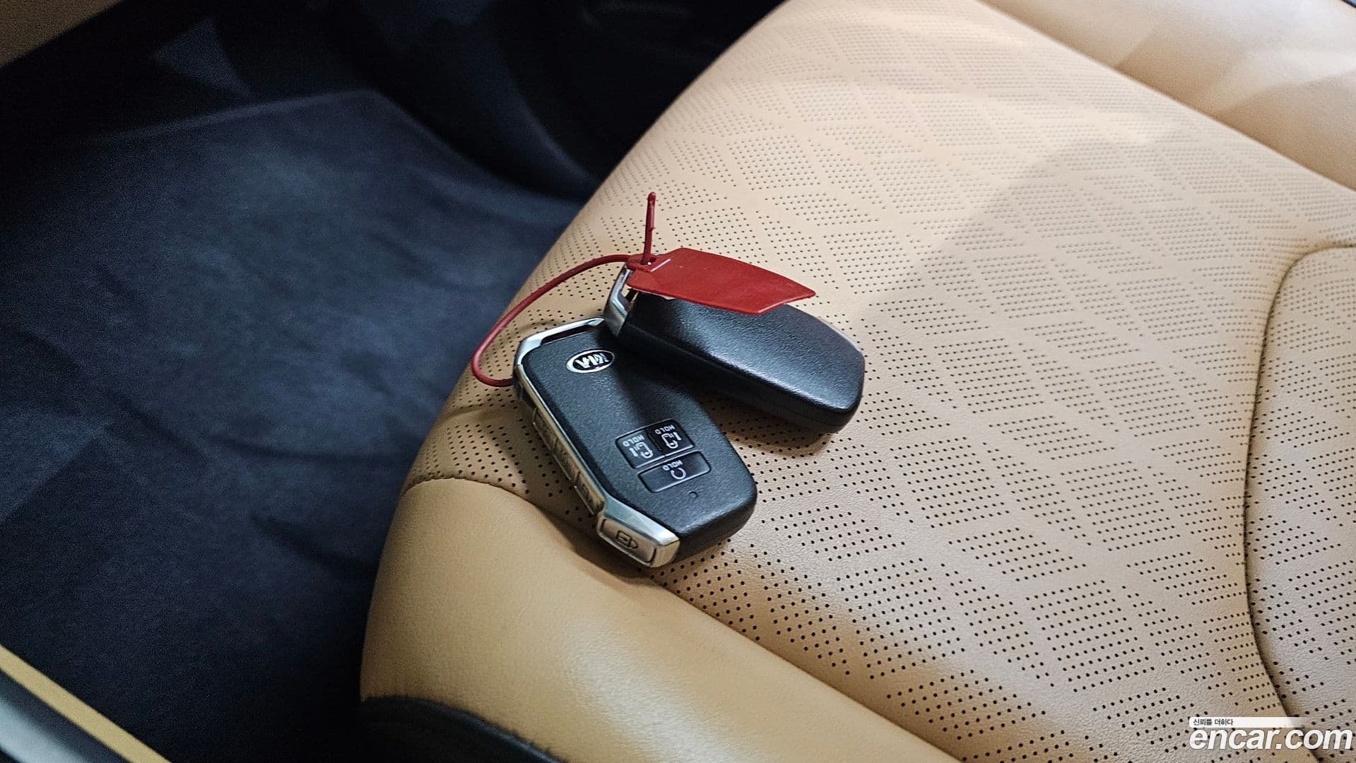 Main__Slider__Photo:Canival Kia 2021.2-18