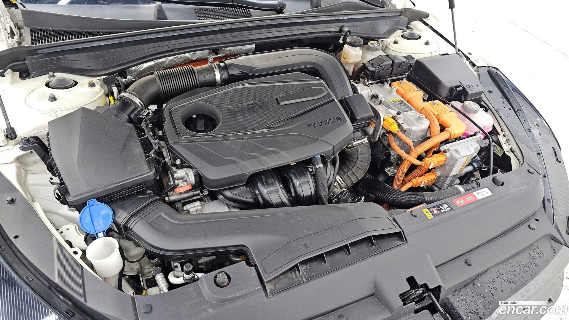 Main__Slider__Photo:K5 Kia 2021.3-5