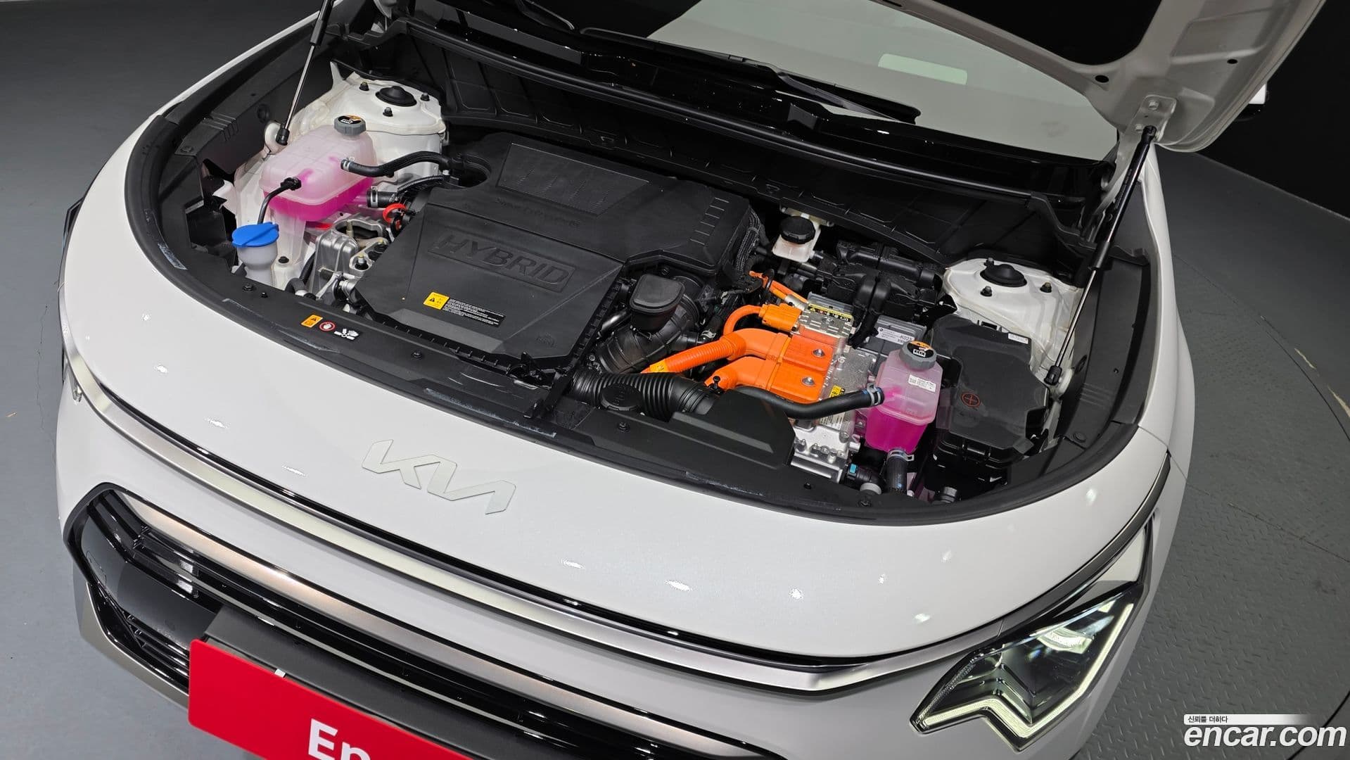 Main__Slider__Photo:Niro Kia 2025.3-5