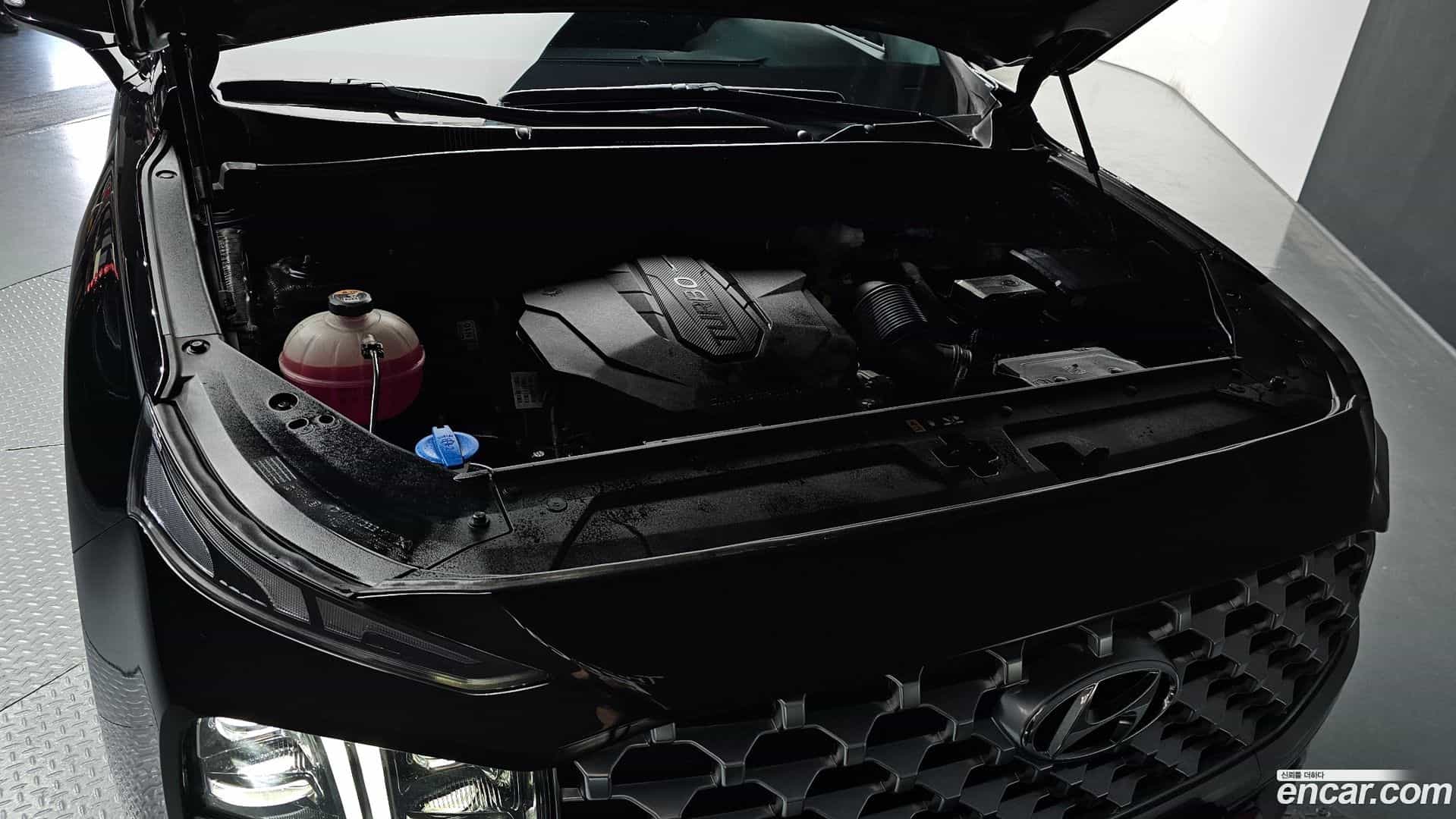 Santafe Hyundai 2021.3-OUTER-006