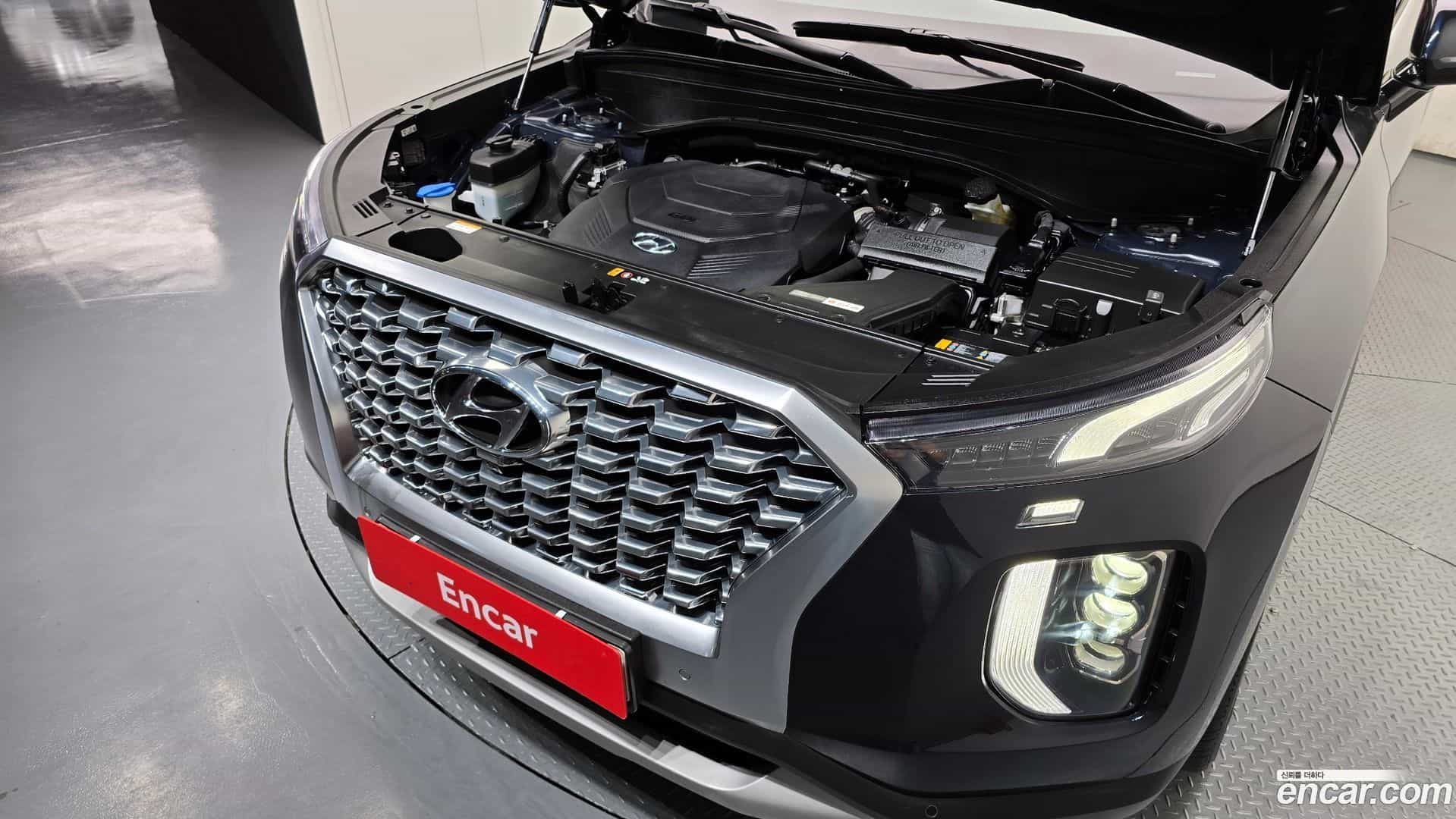 Palisade Hyundai 2020.6-OUTER-006