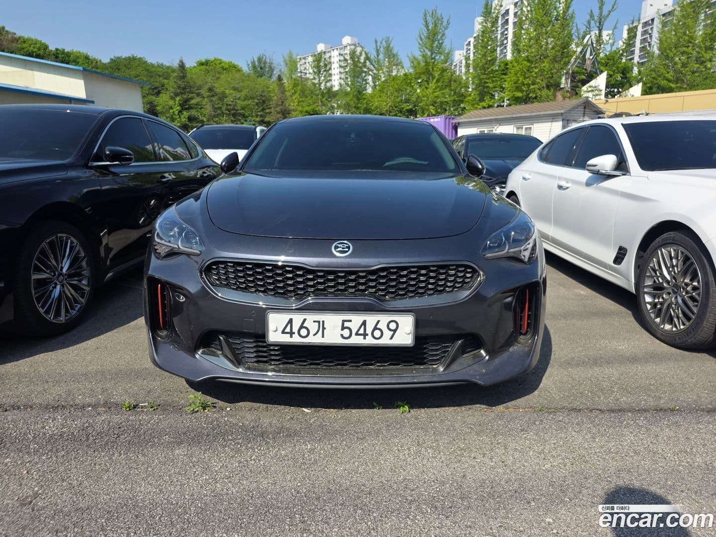 Main__Slider__Photo:Stinger Kia 2017.6-0