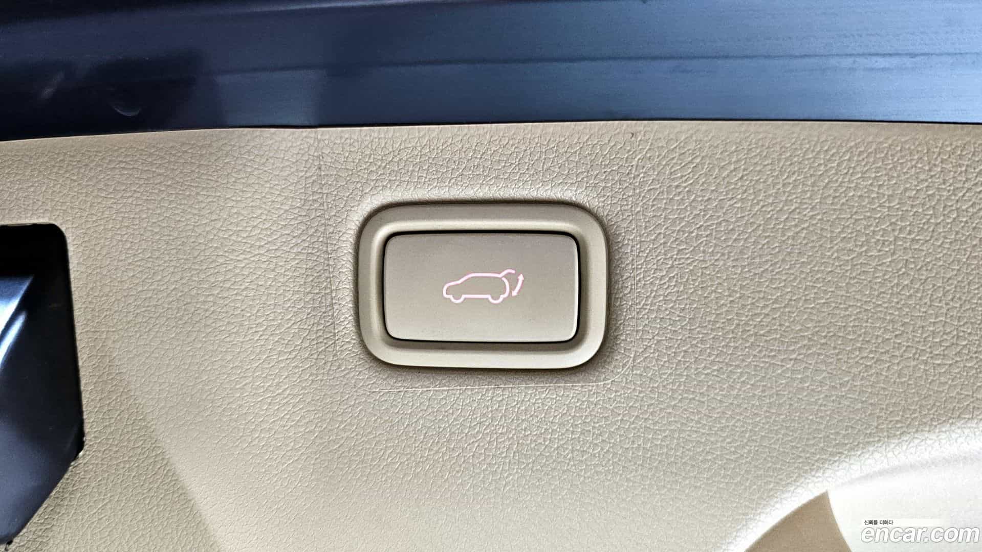 Canival Kia 2017.8-OPTION-023
