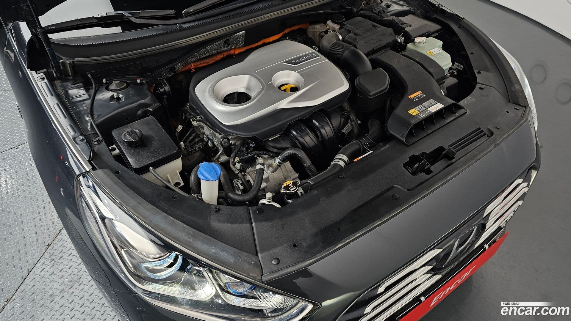 Main__Slider__Photo:Sonata Hyundai 2017.5-5